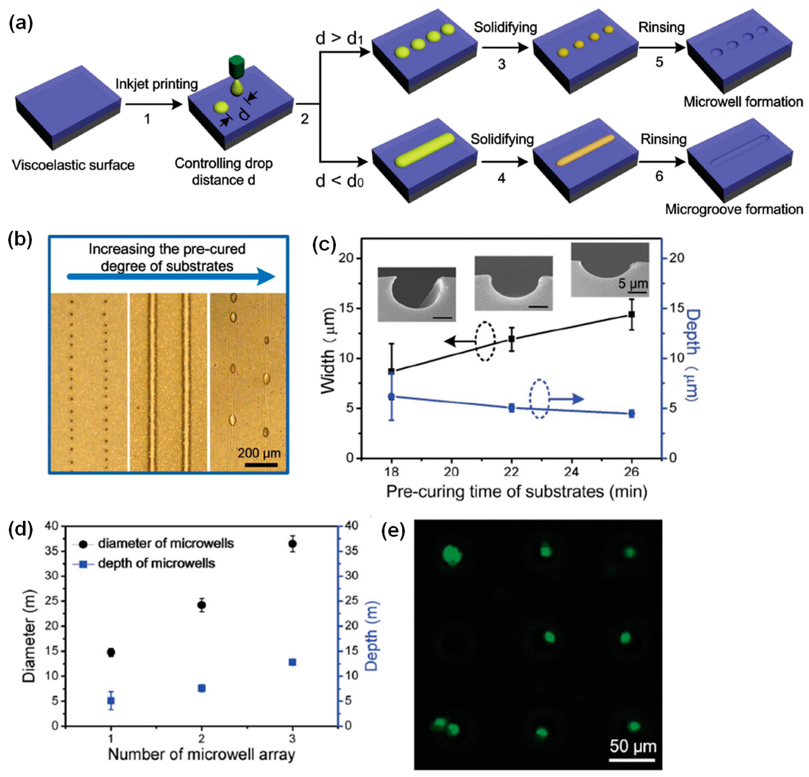 Polymers 09 00441 g004