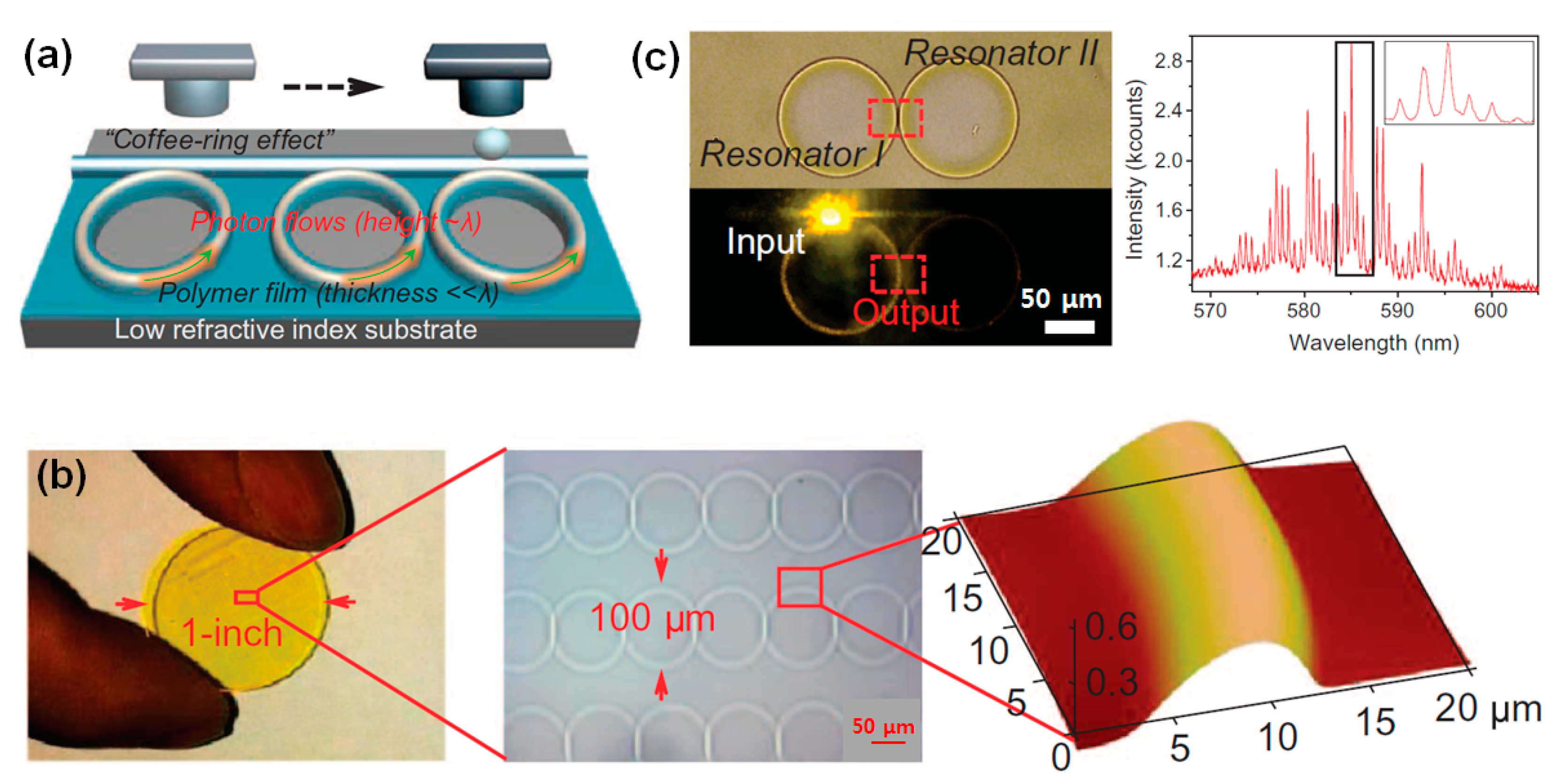 Polymers 09 00441 g005