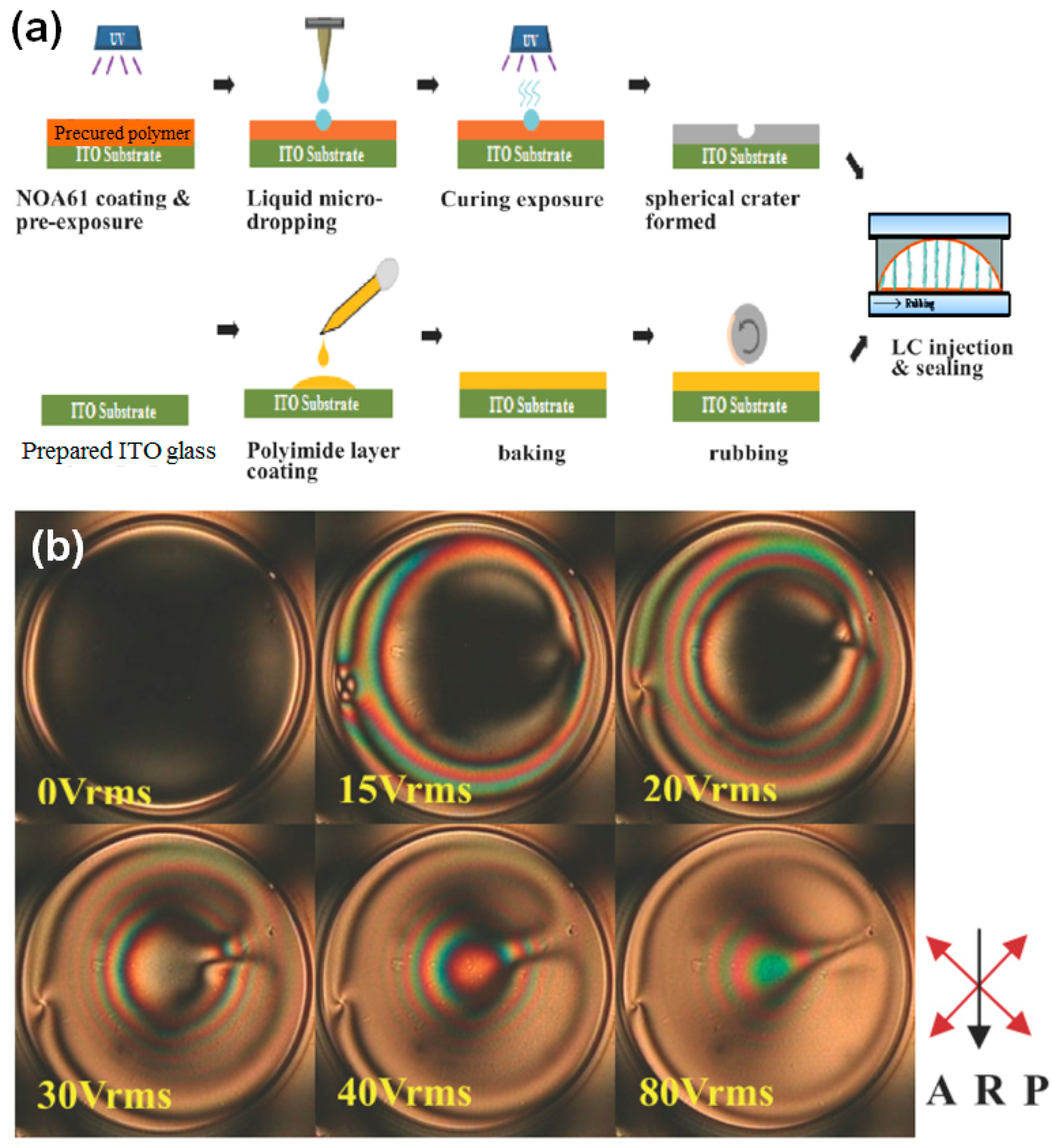 Polymers 09 00441 g007