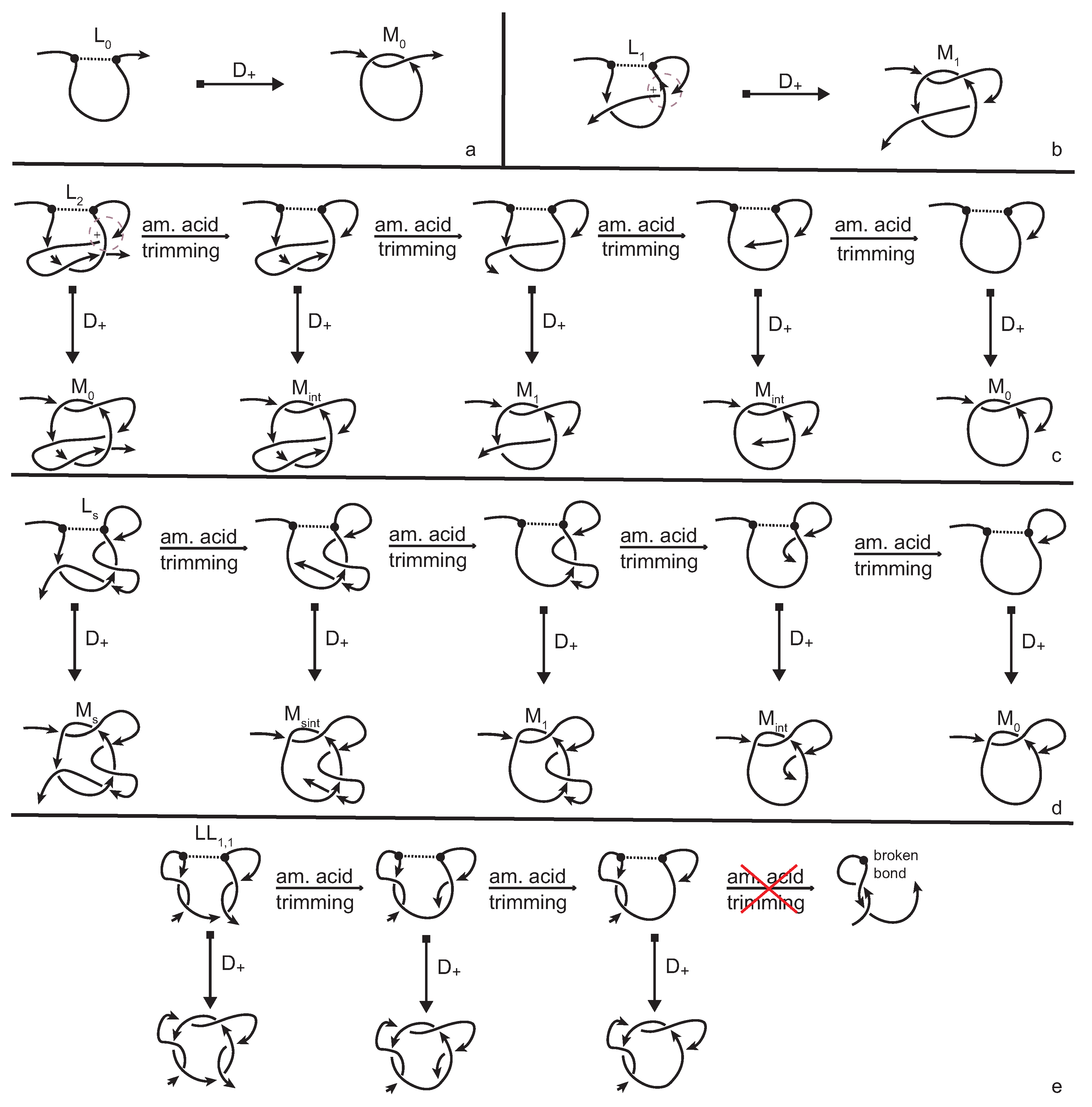 Polymers 09 00444 g009