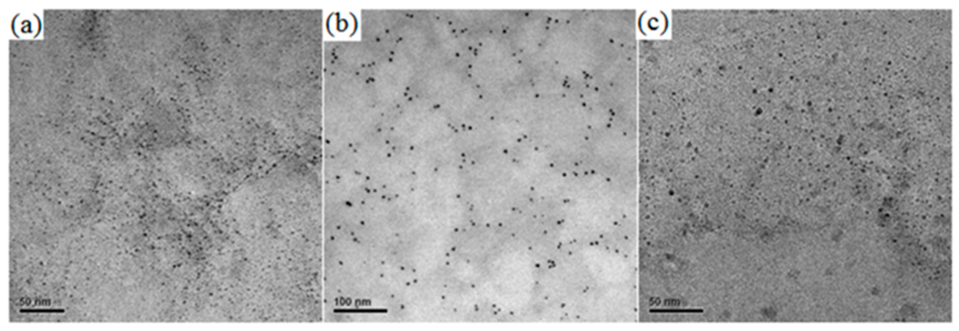 Polymers 09 00459 g005