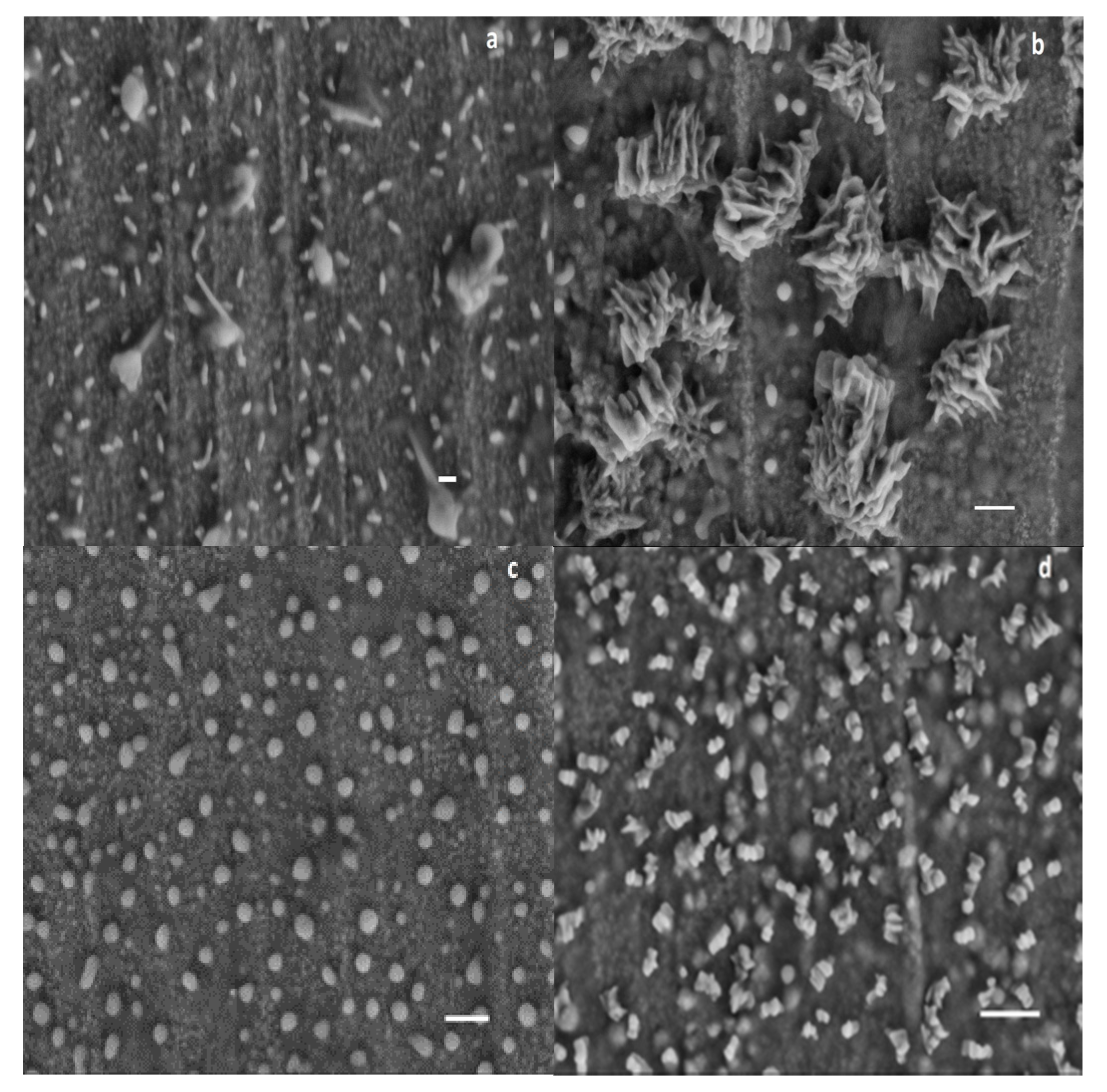 Polymers 09 00466 g009