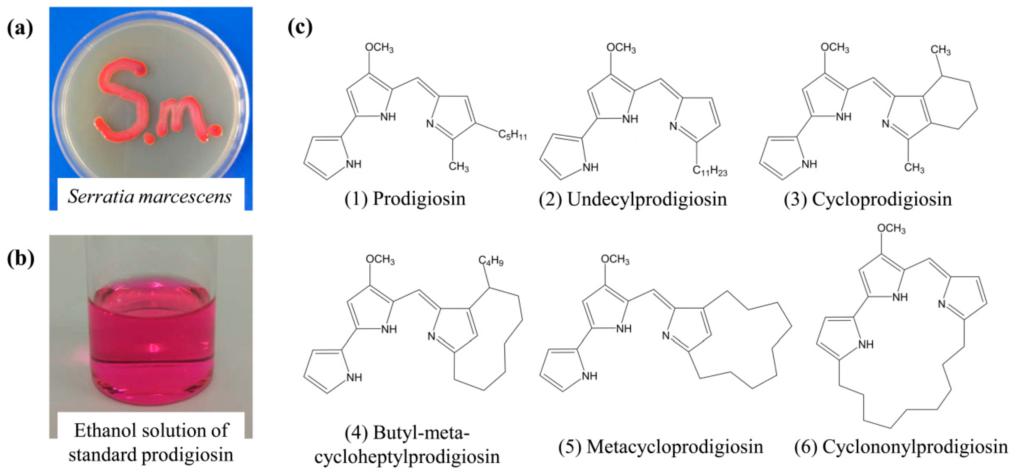 Polymers 09 00468 g001