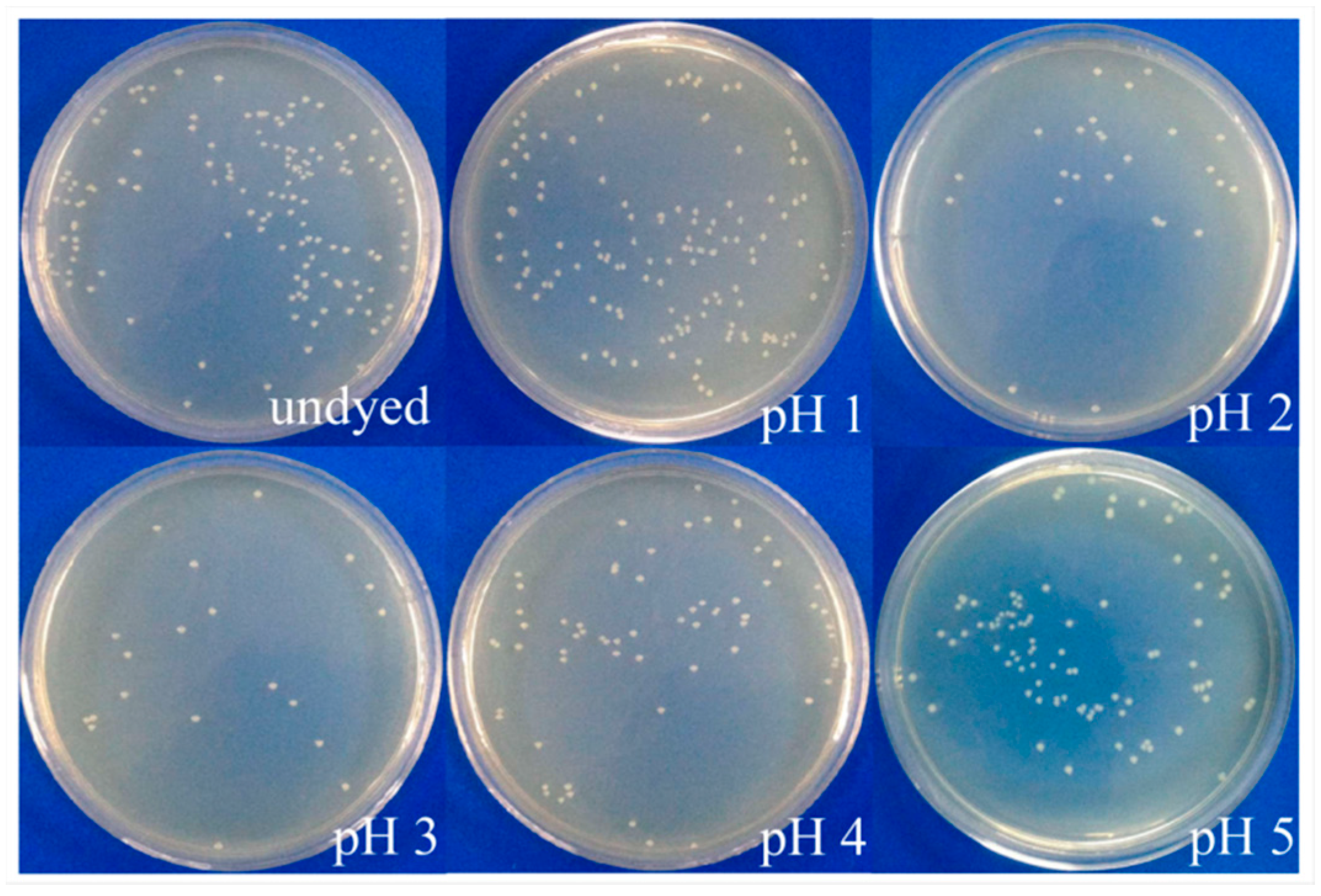 Polymers 09 00468 g010