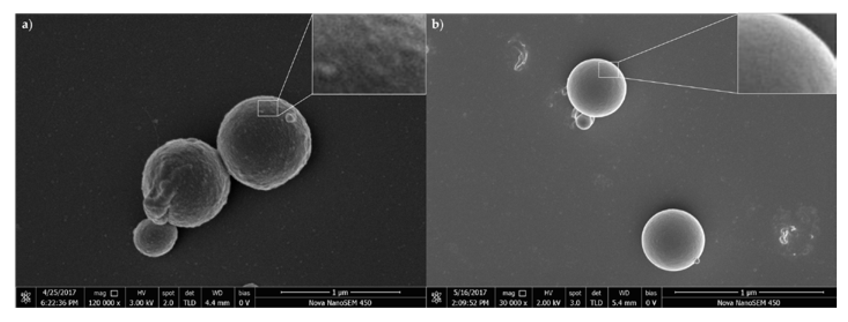 Polymers 09 00469 g003