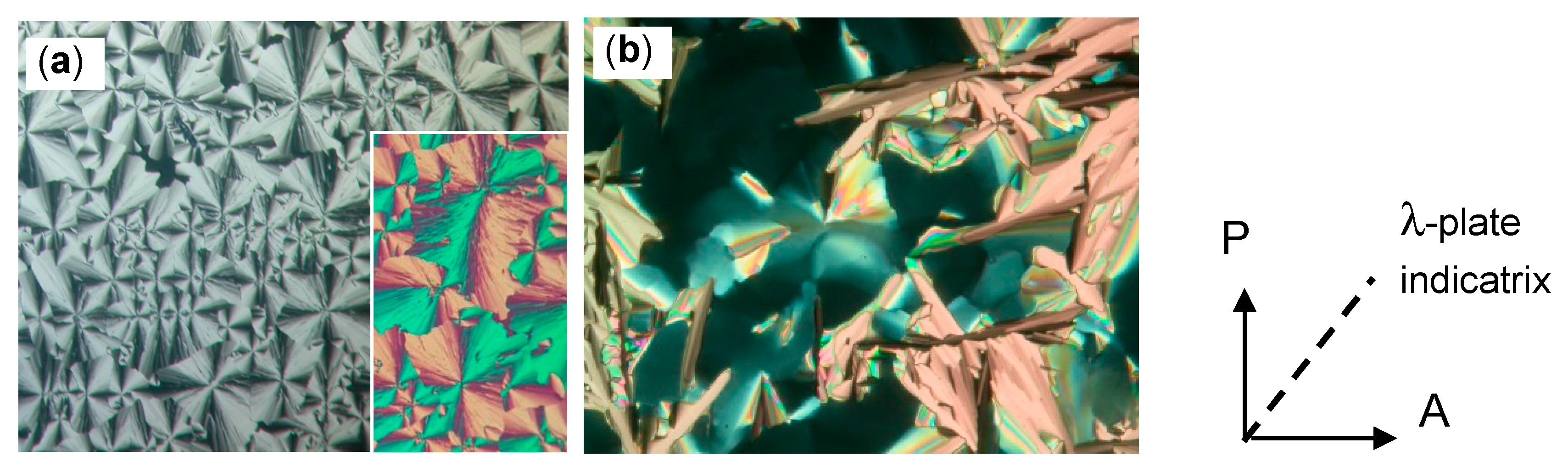 Polymers 09 00471 g005