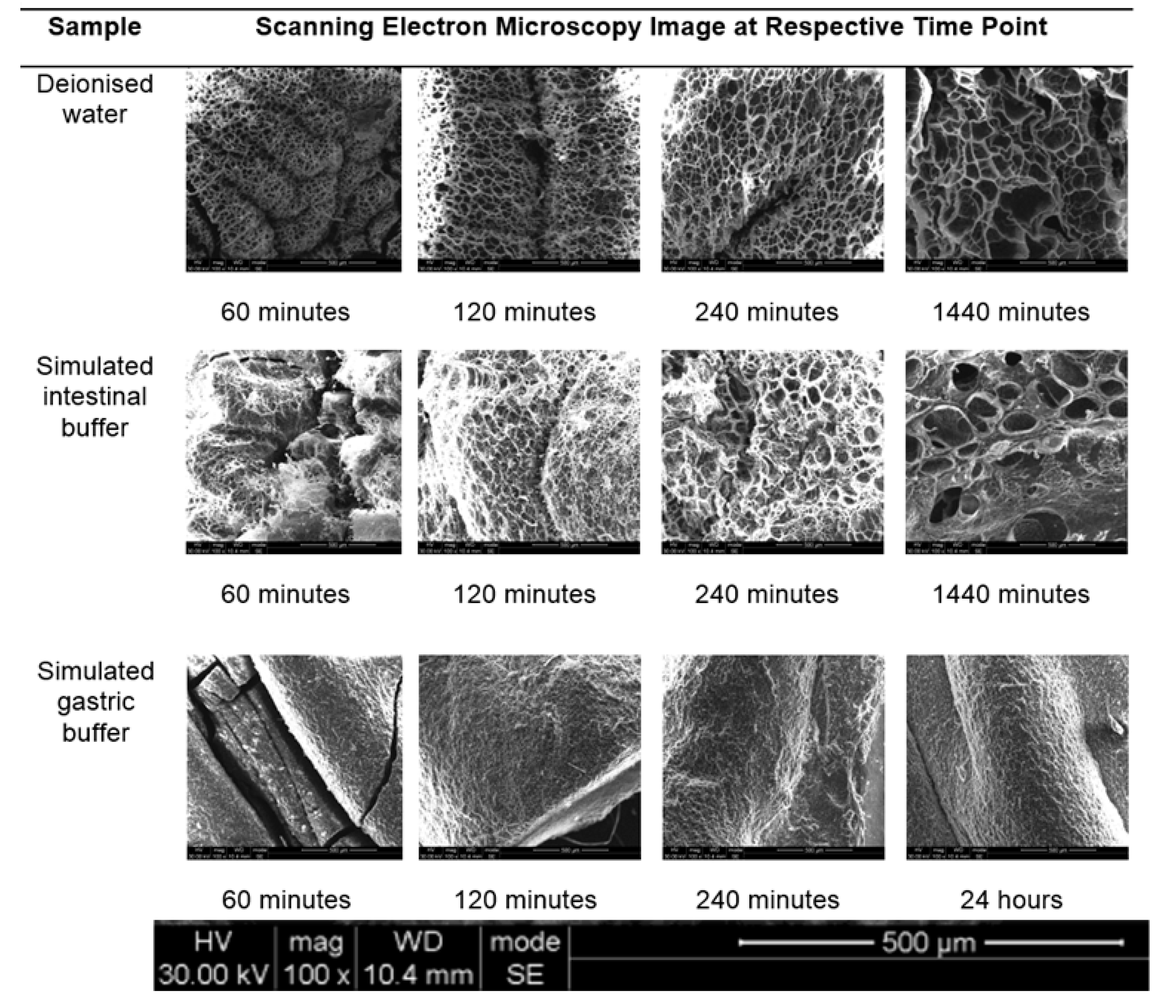 Polymers 09 00474 g007