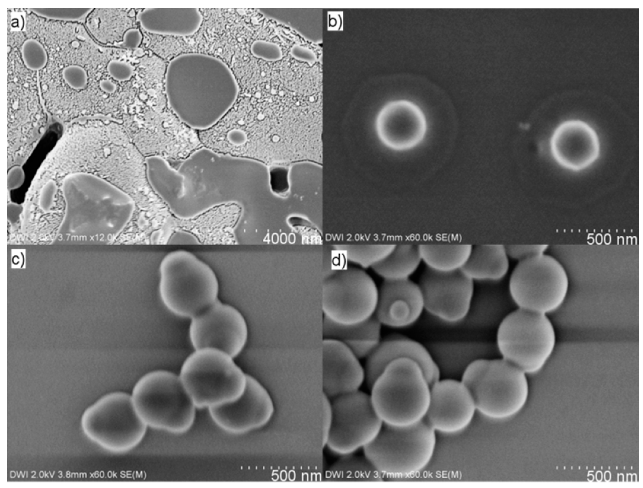 Polymers 09 00475 g002
