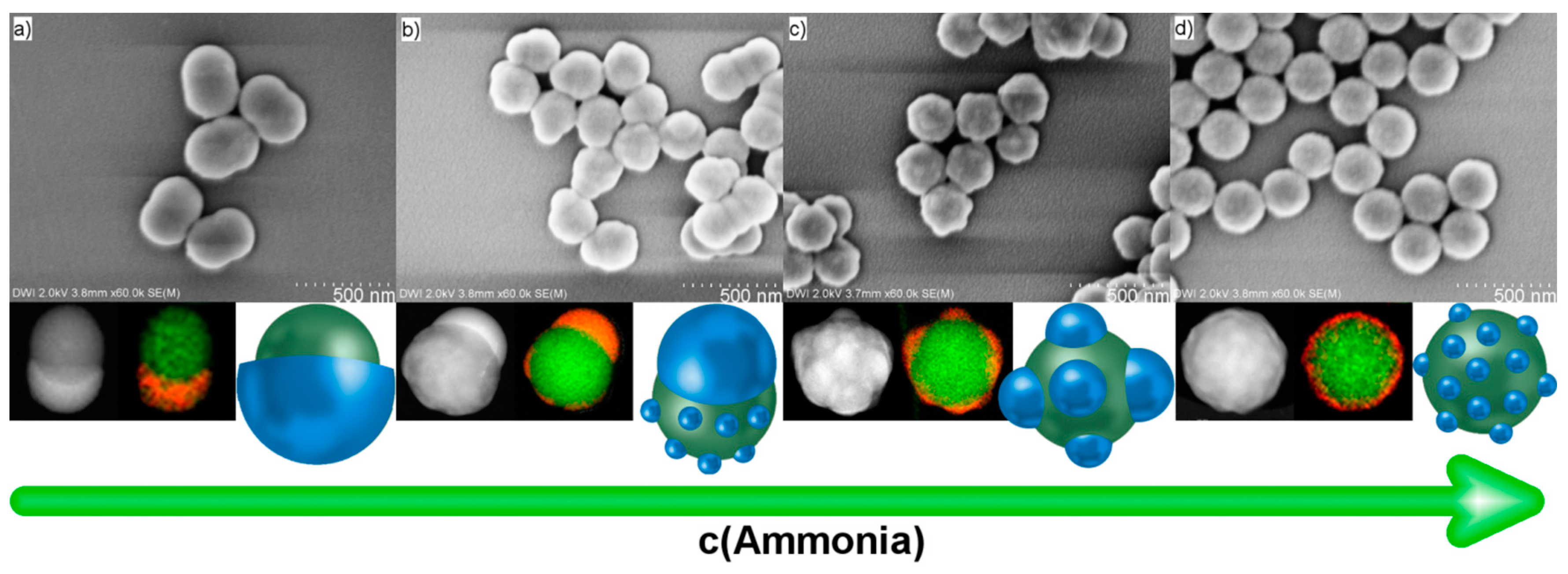 Polymers 09 00475 g003