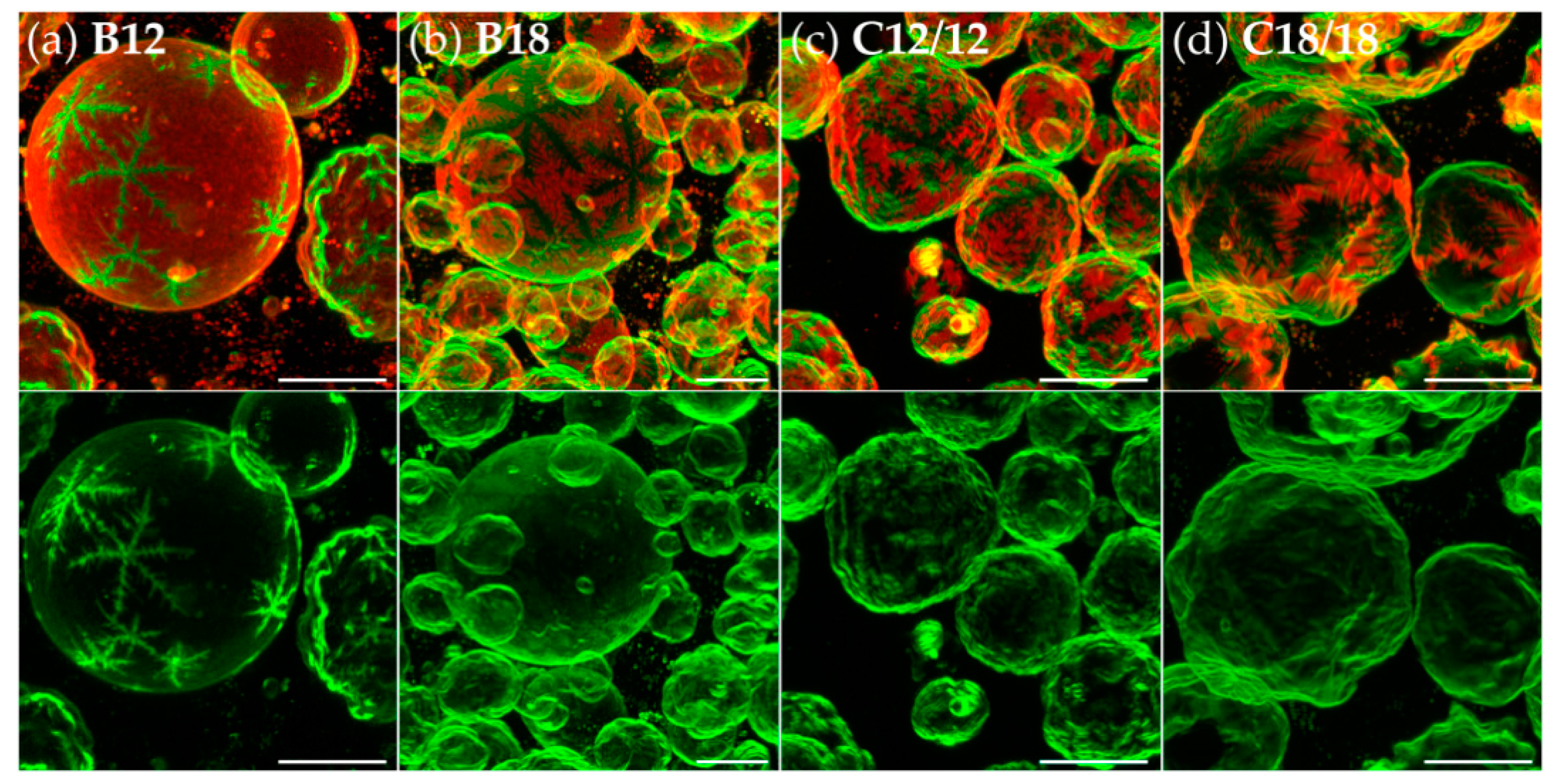 Polymers 09 00476 g001