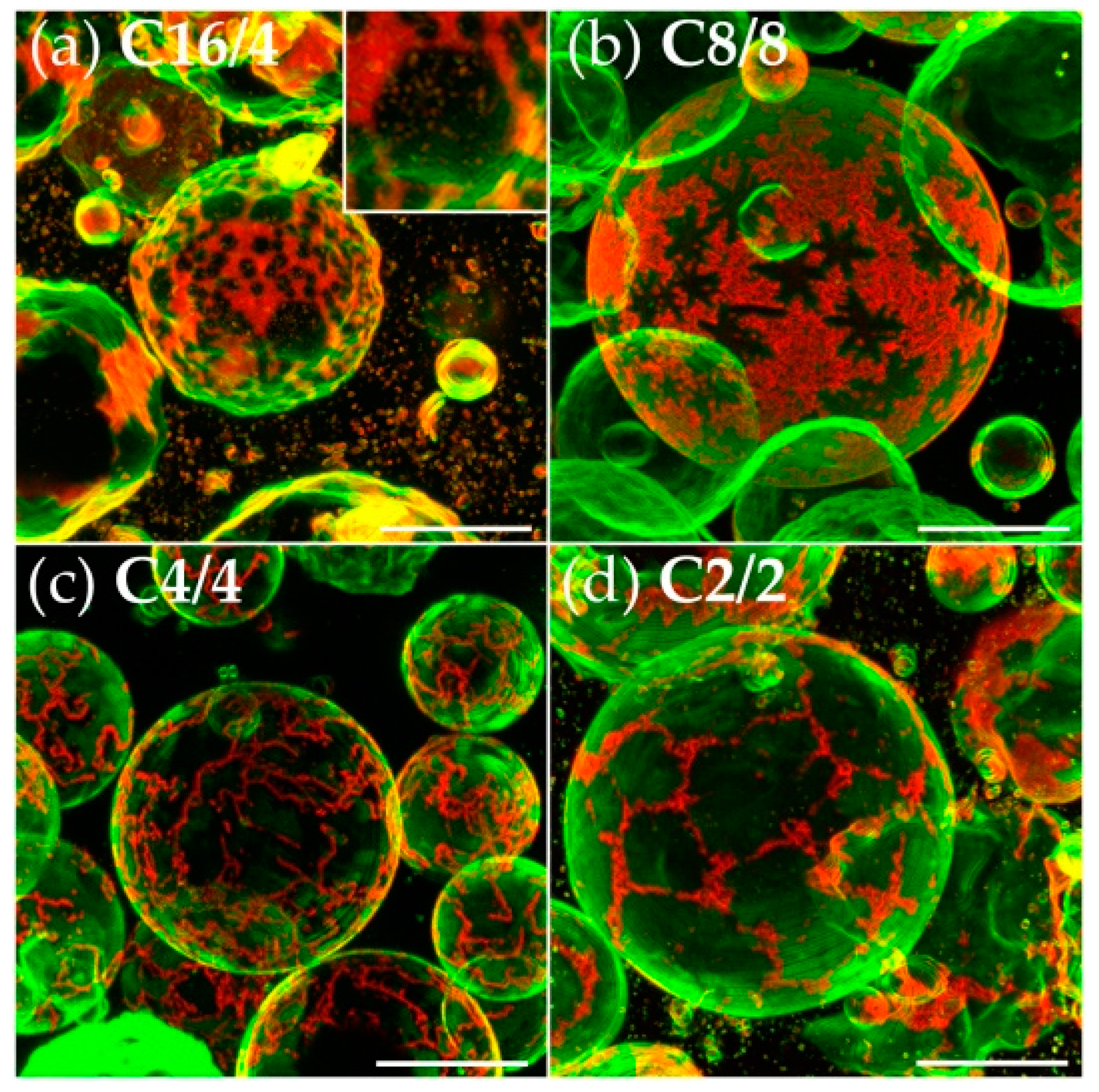Polymers 09 00476 g003
