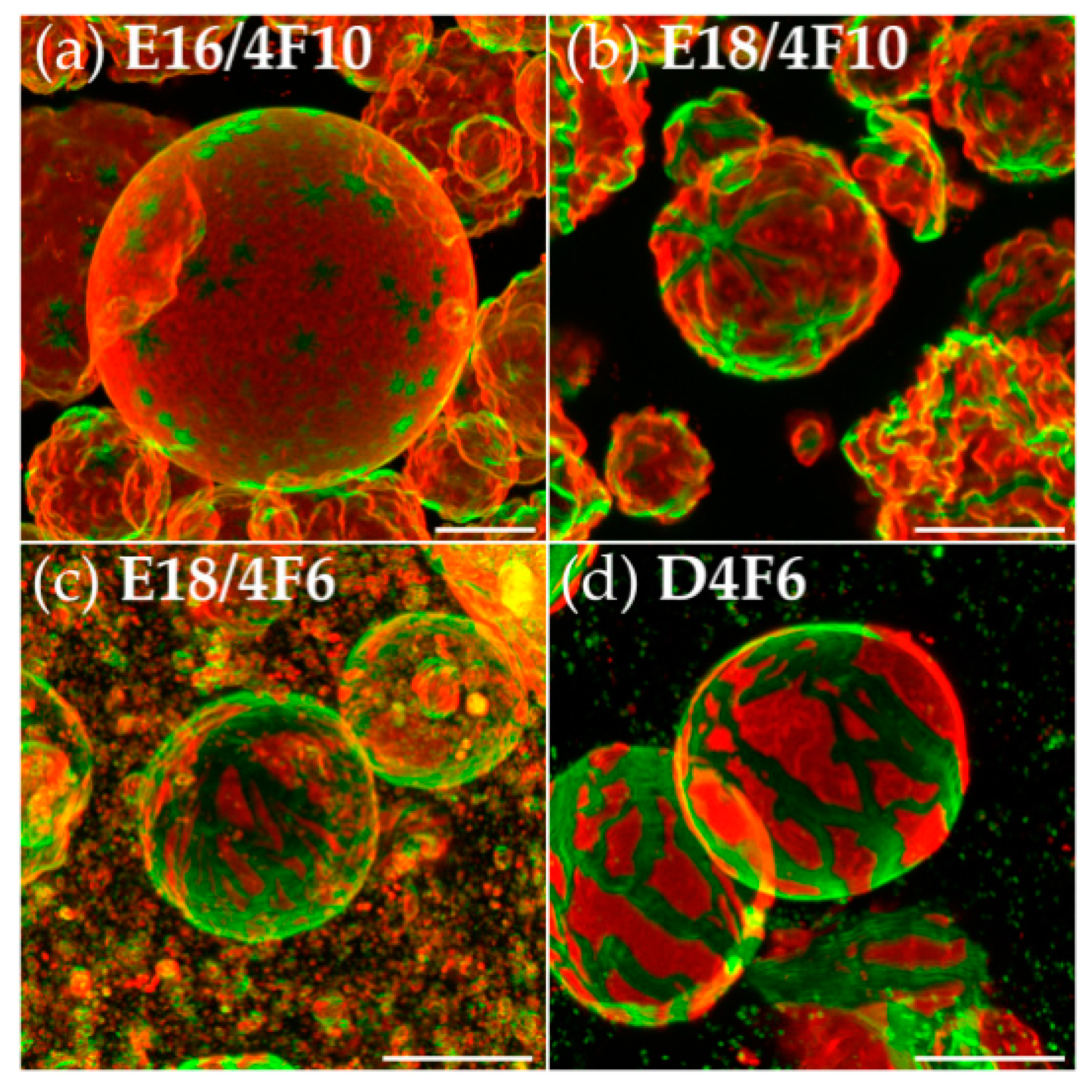 Polymers 09 00476 g004