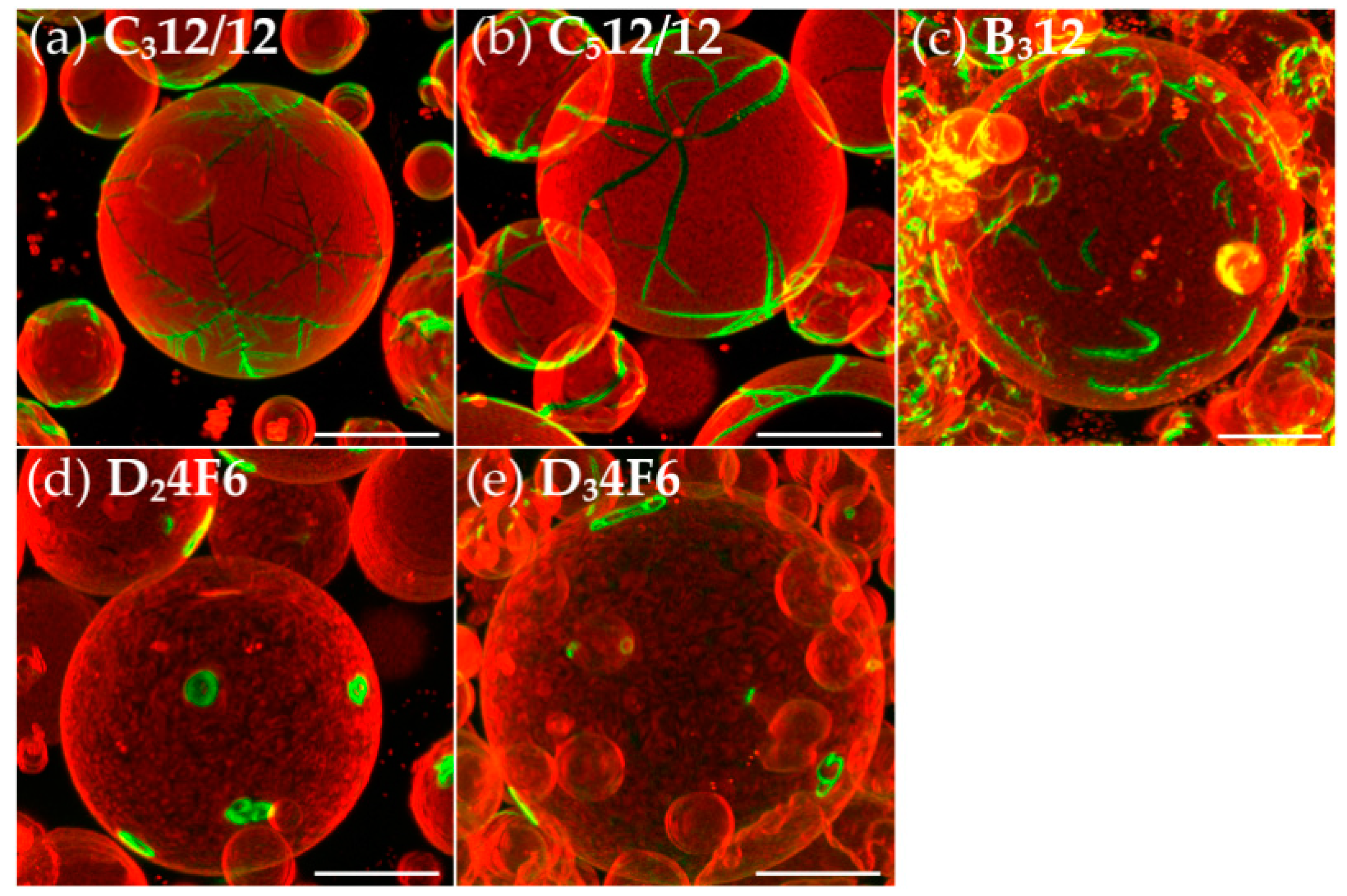 Polymers 09 00476 g005