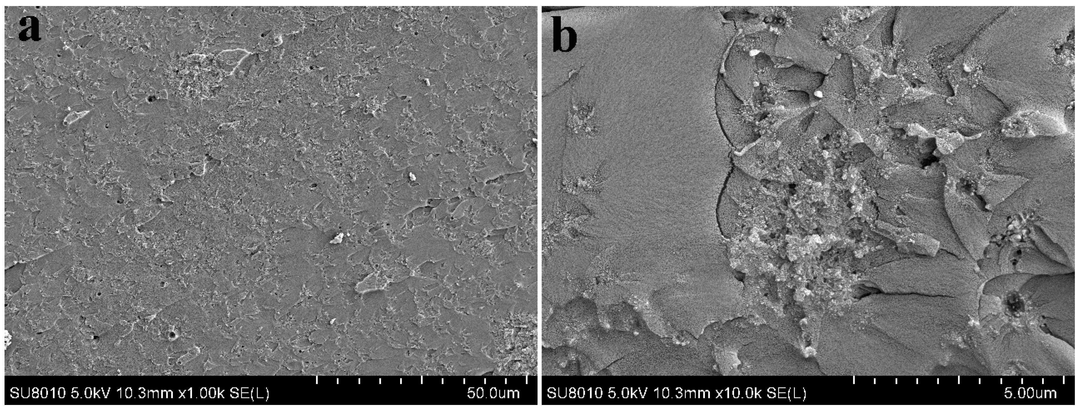 Polymers 09 00478 g008a Polymers 09 00478 g008a