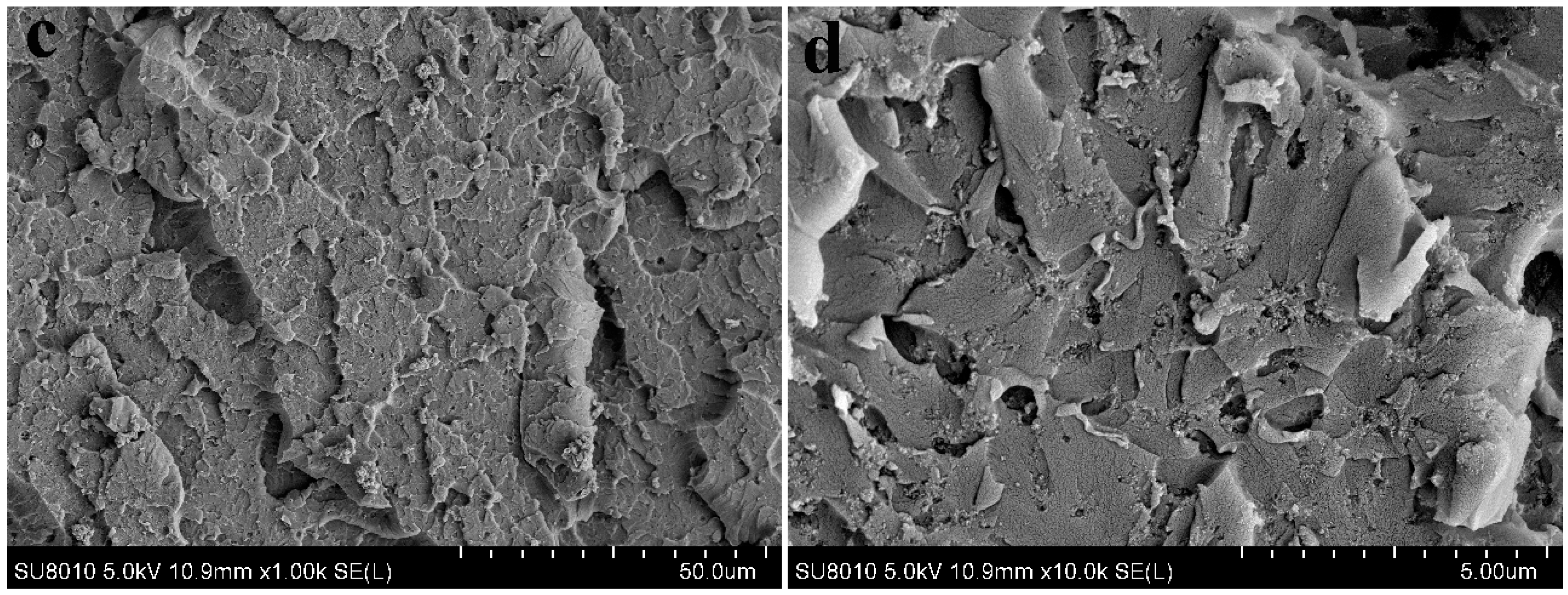 Polymers 09 00478 g008b Polymers 09 00478 g008b