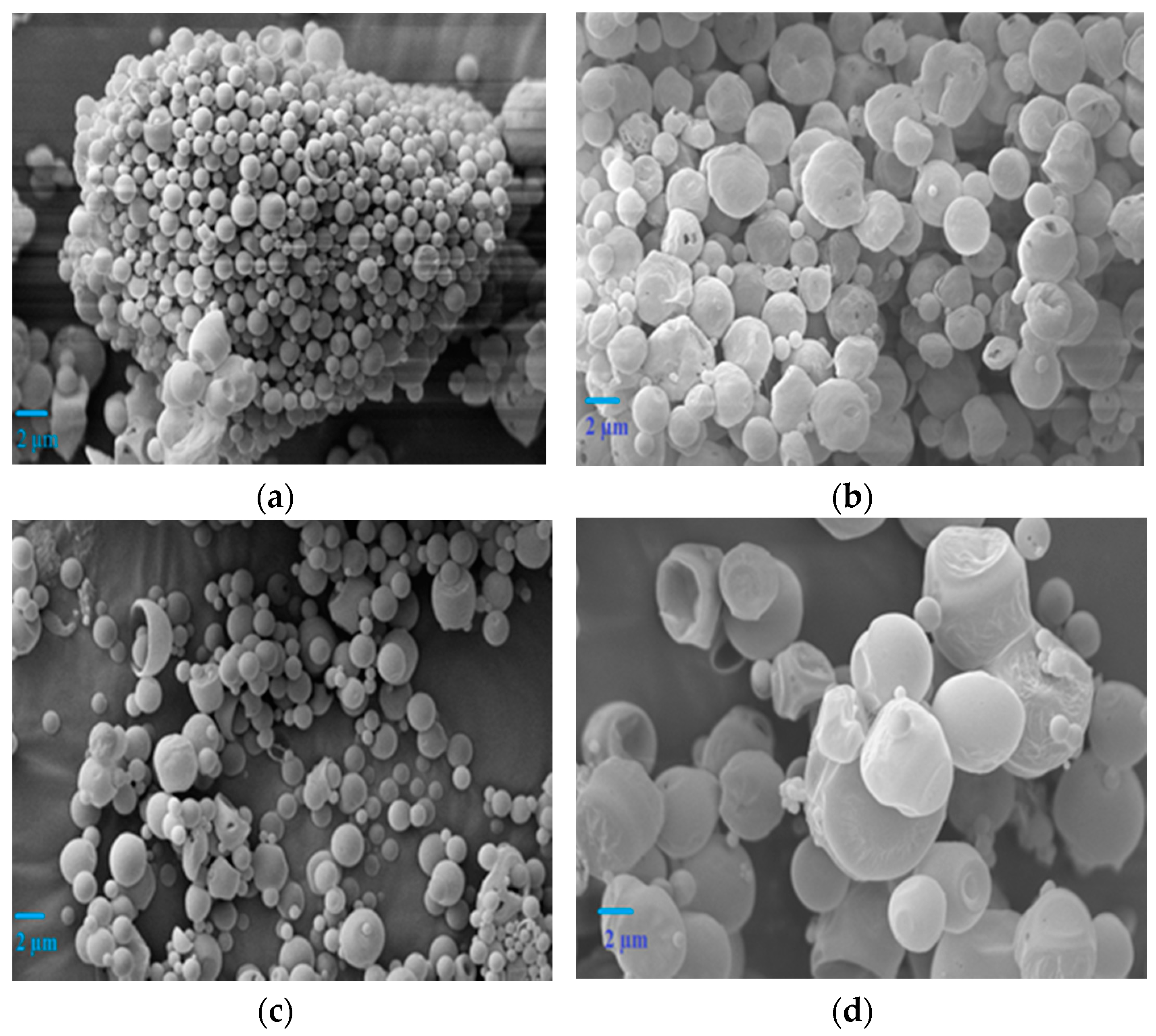 Polymers 09 00485 g001