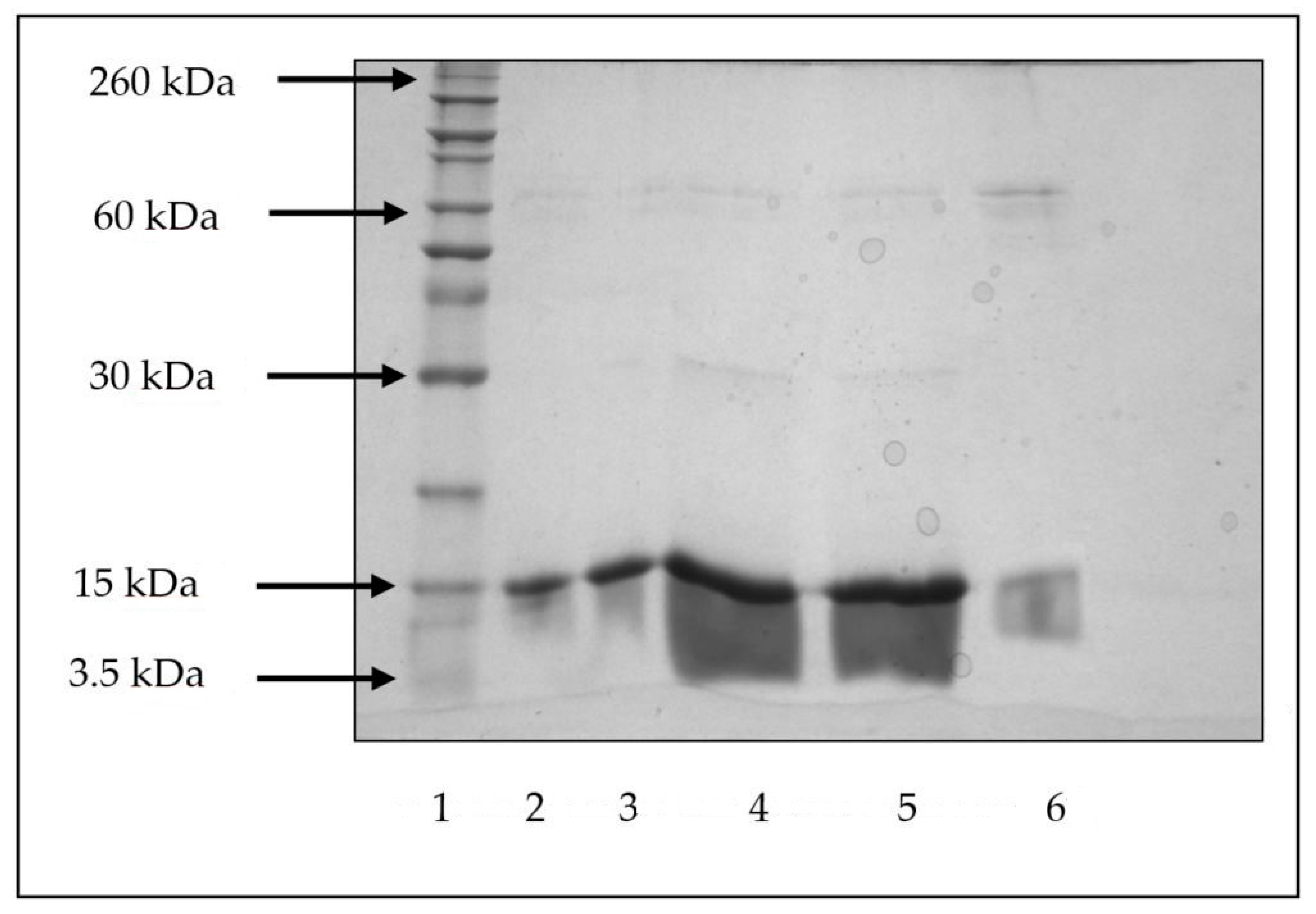 Polymers 09 00485 g006