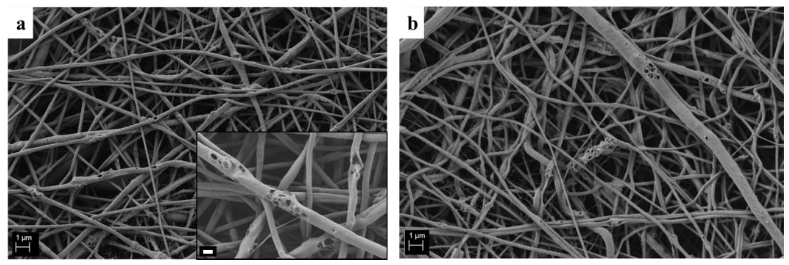 Polymers 09 00487 g009