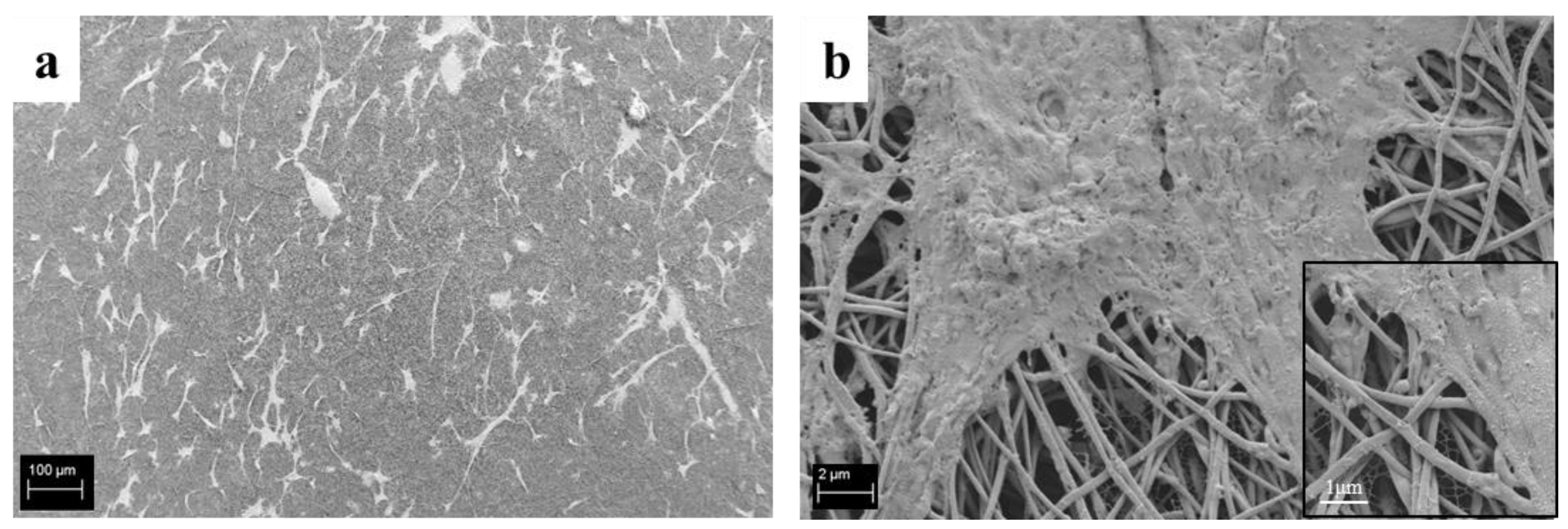 Polymers 09 00487 g012