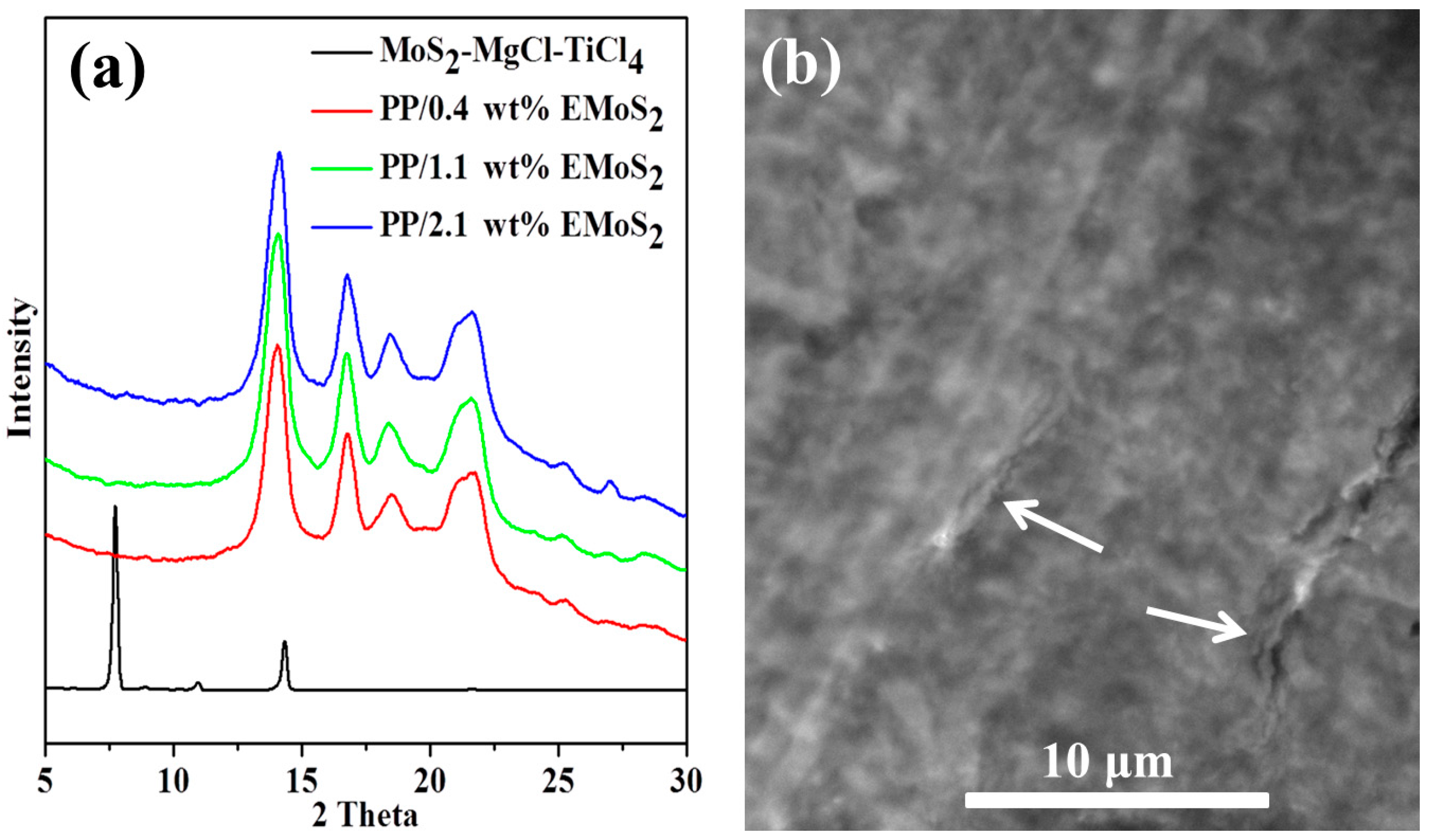 Polymers 09 00490 g004