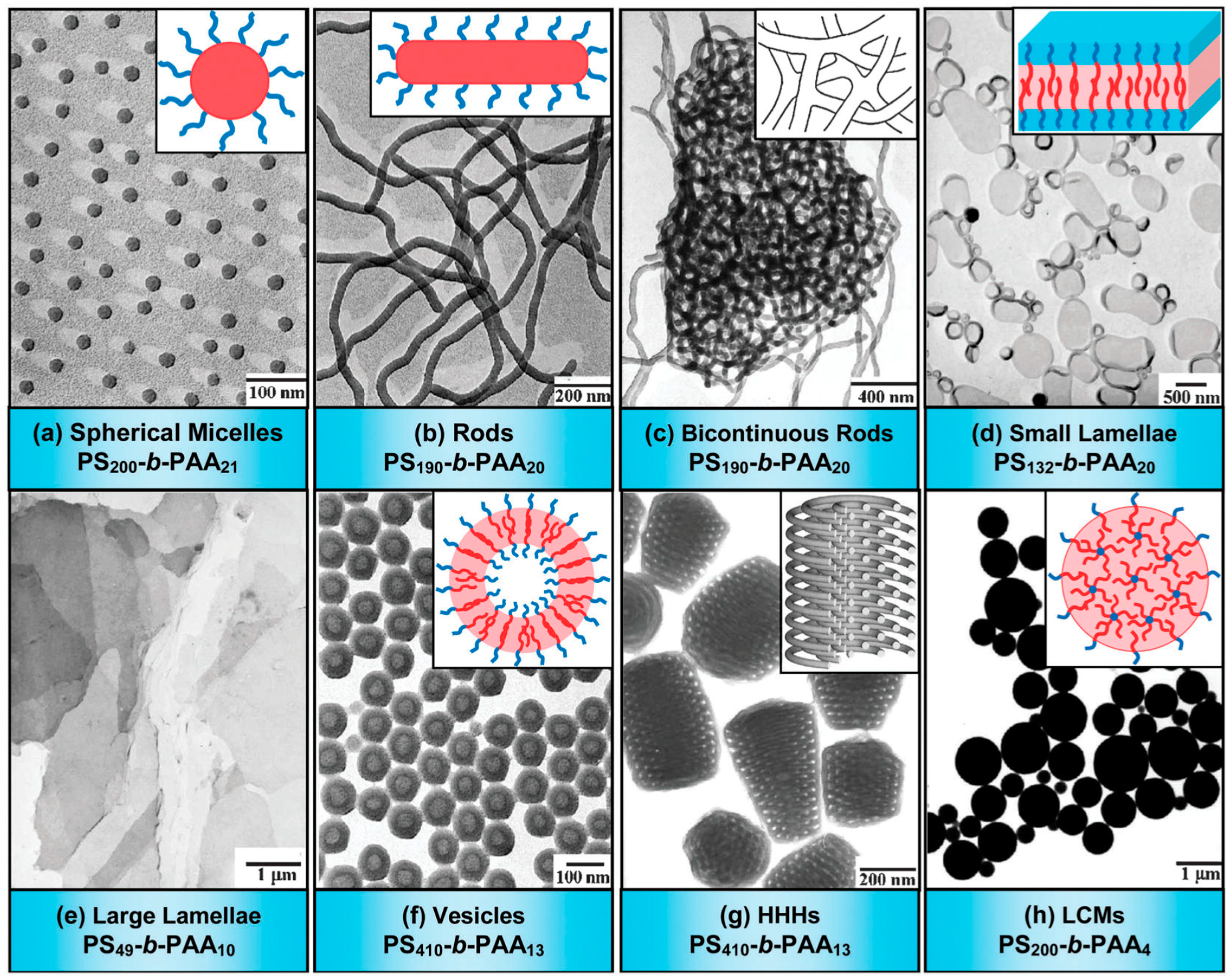 Polymers 09 00494 g011
