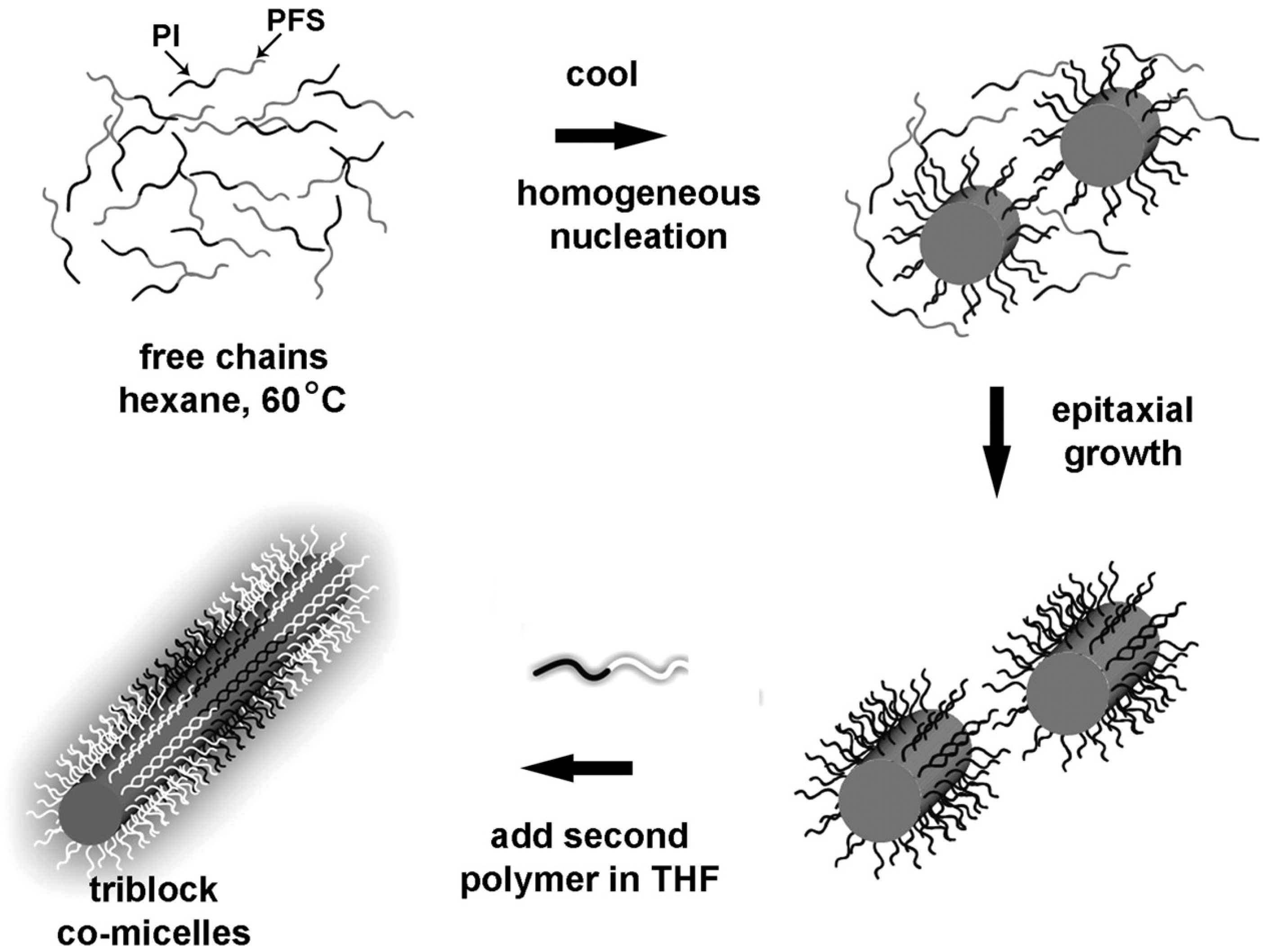Polymers 09 00494 g012