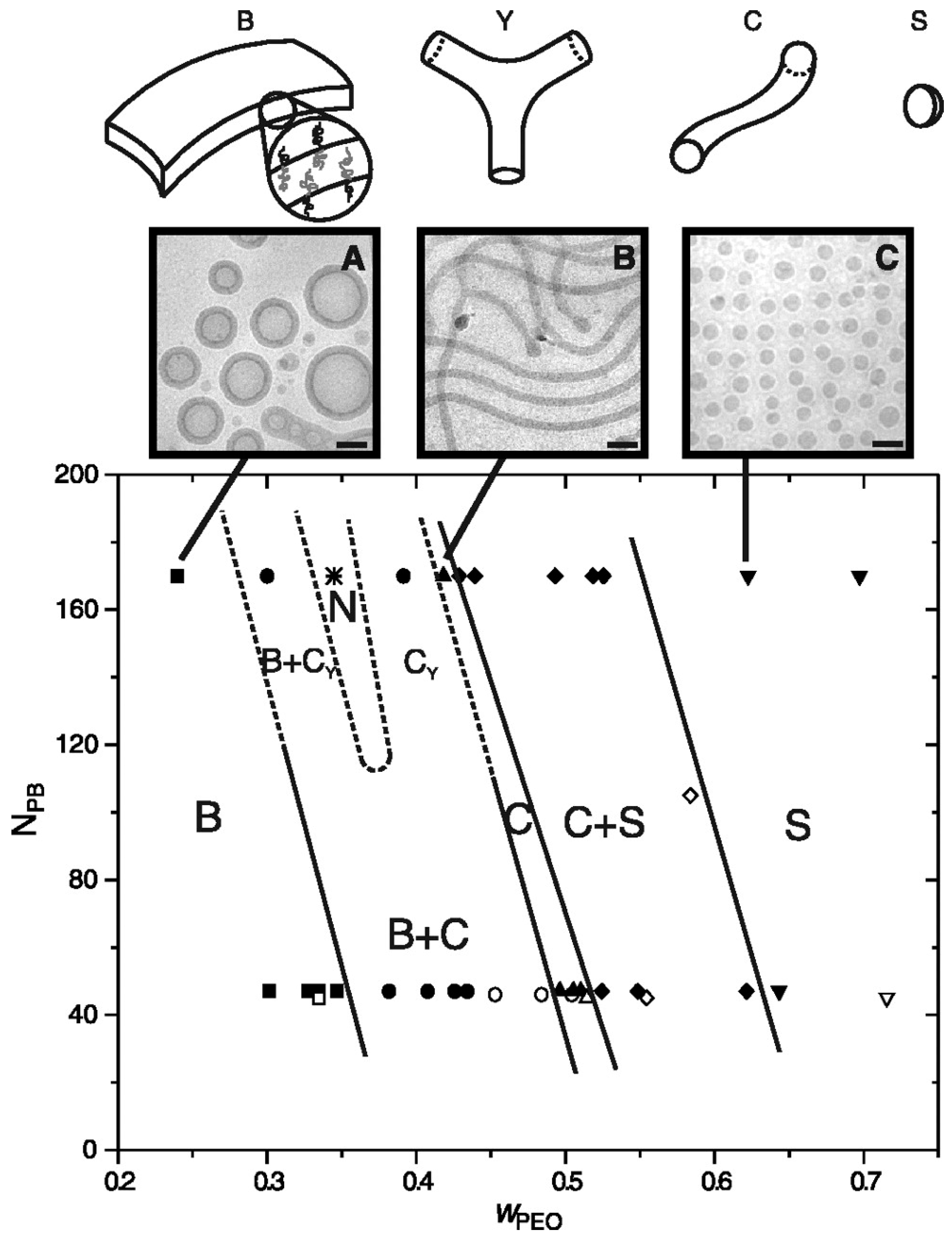 Polymers 09 00494 g014