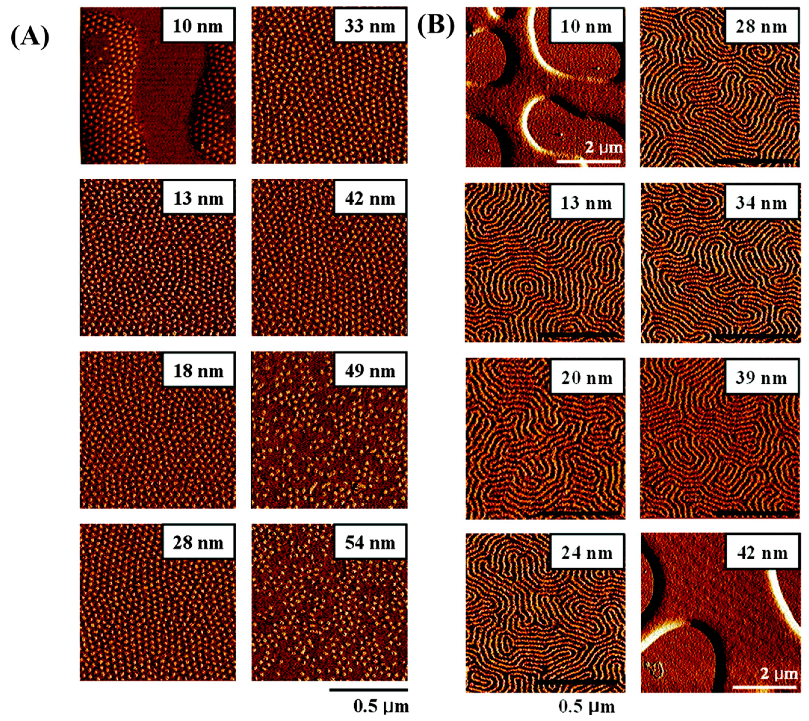 Polymers 09 00494 g017