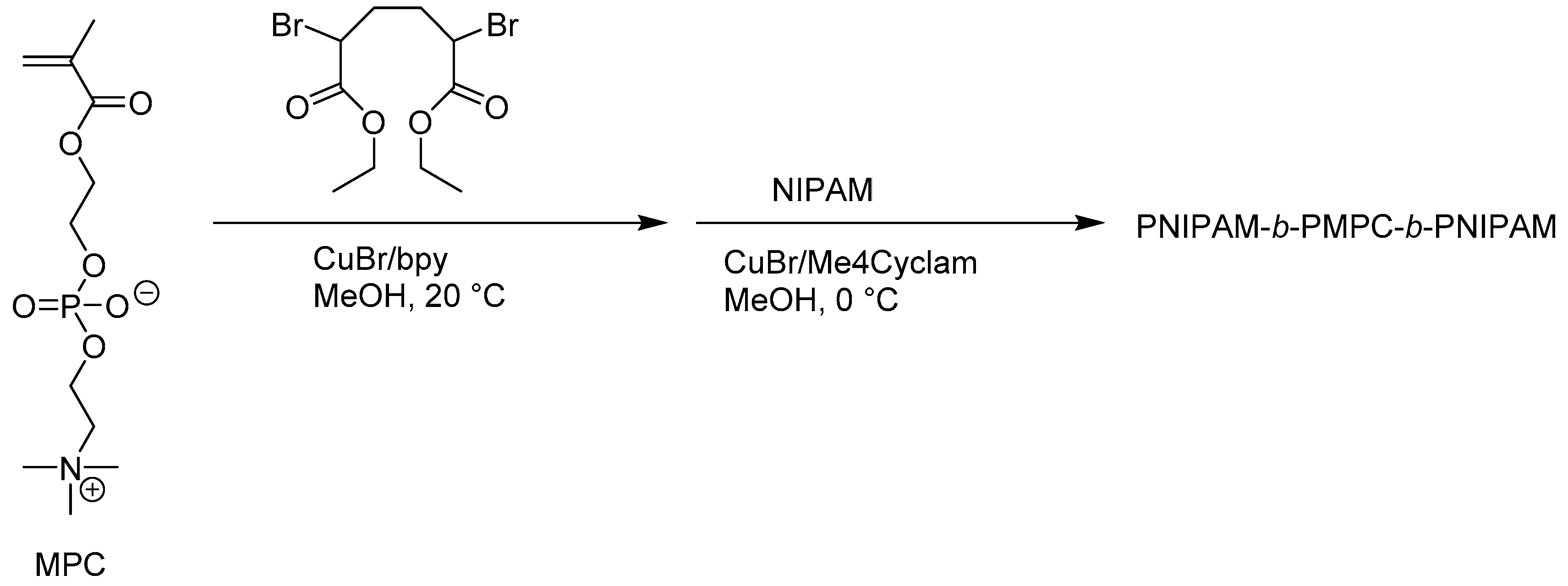Polymers 09 00494 sch001