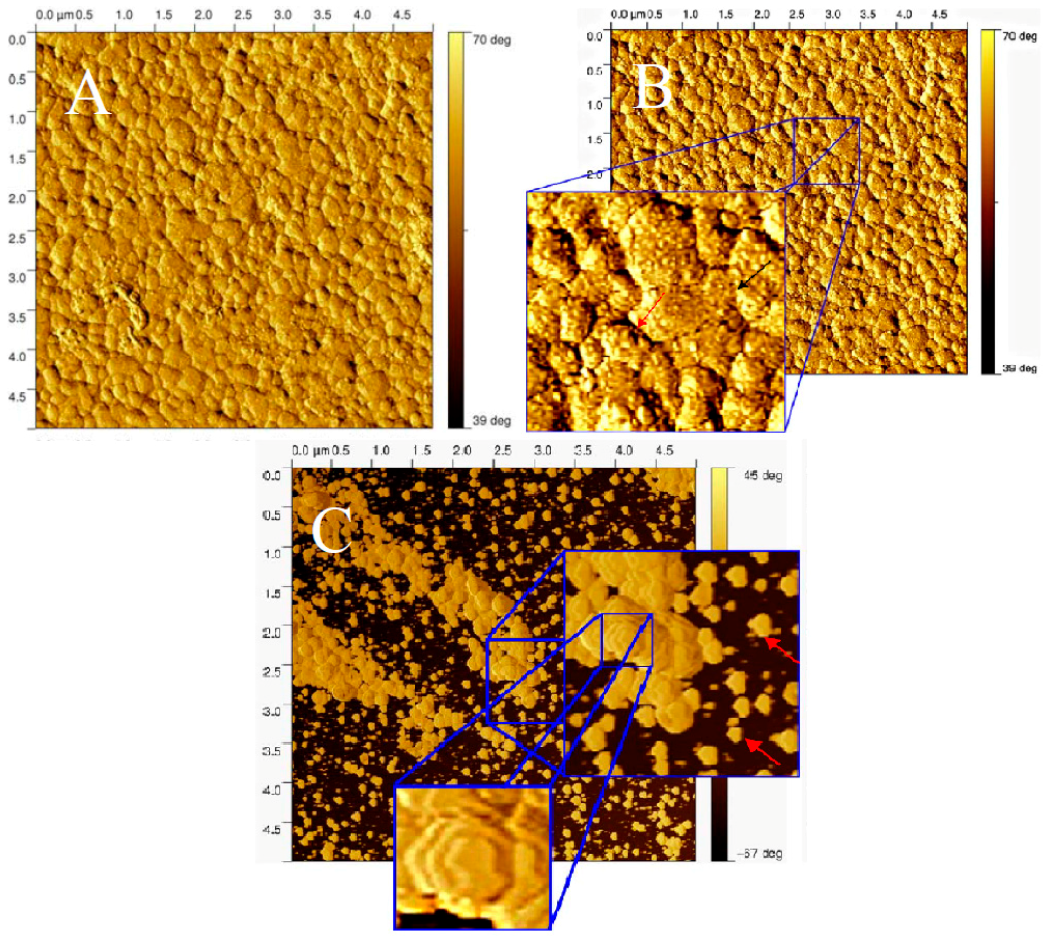 Polymers 09 00500 g001