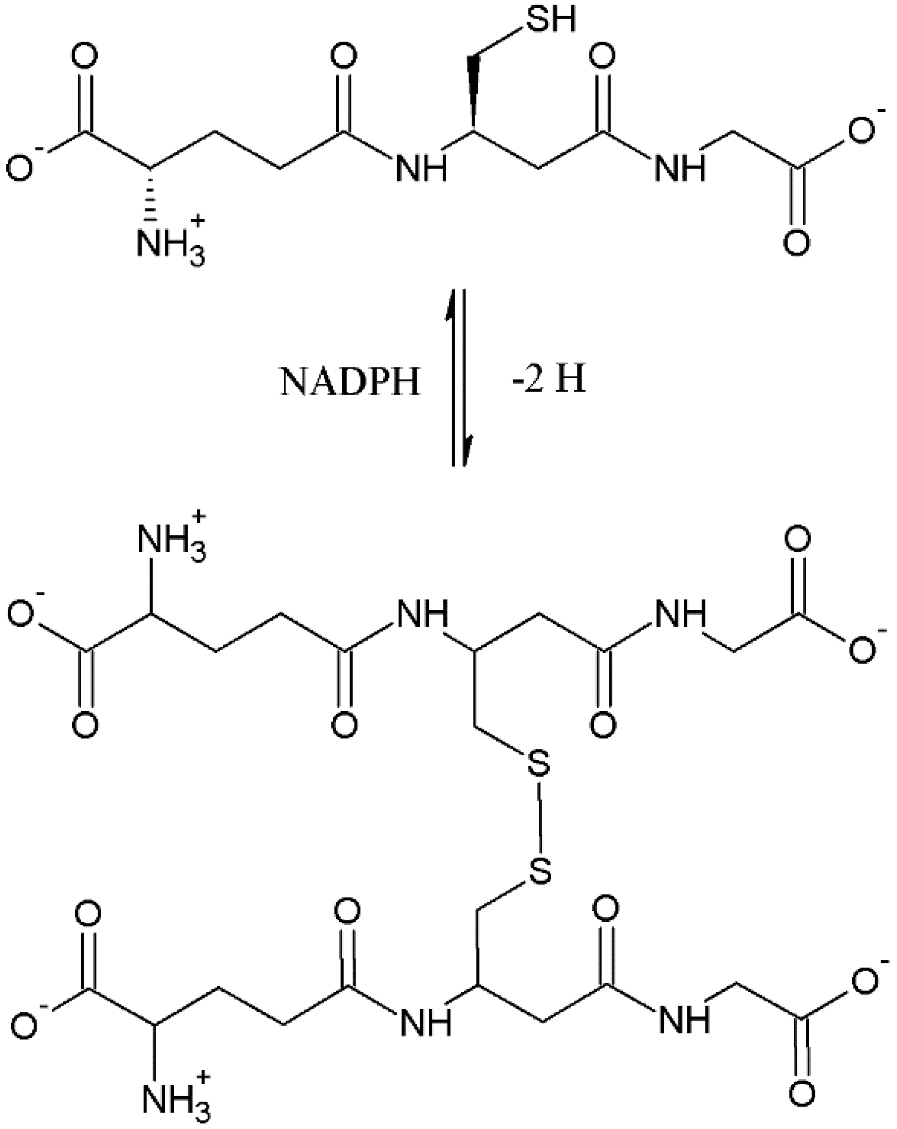 Polymers 09 00500 sch001