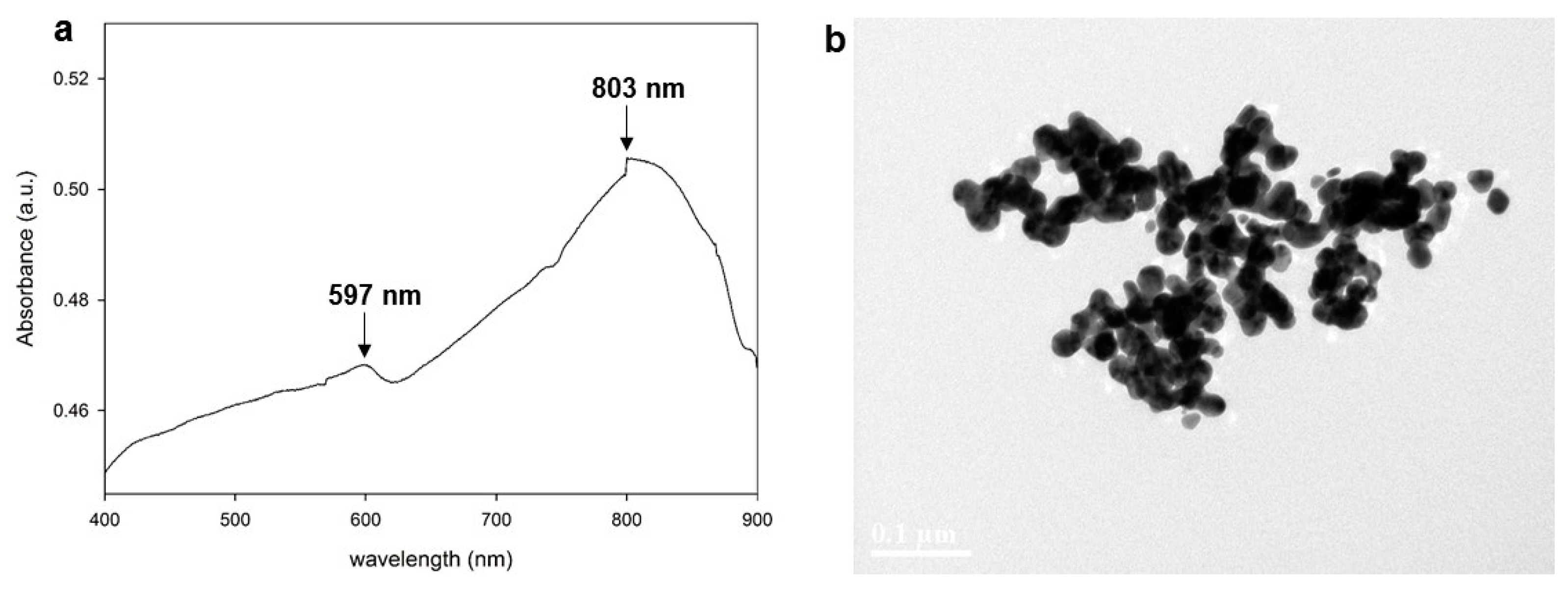 Polymers 09 00507 g002