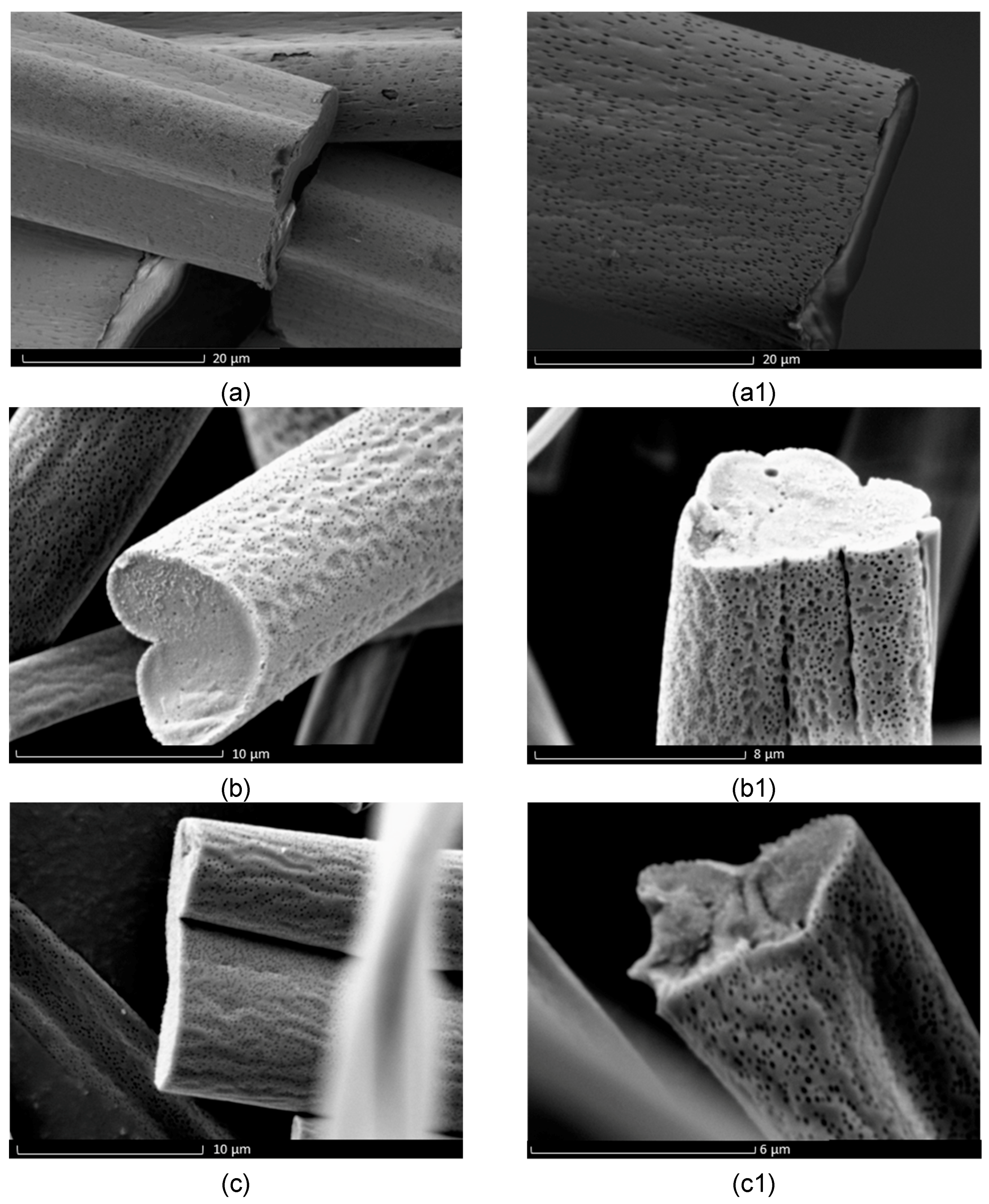 Polymers 09 00508 g005