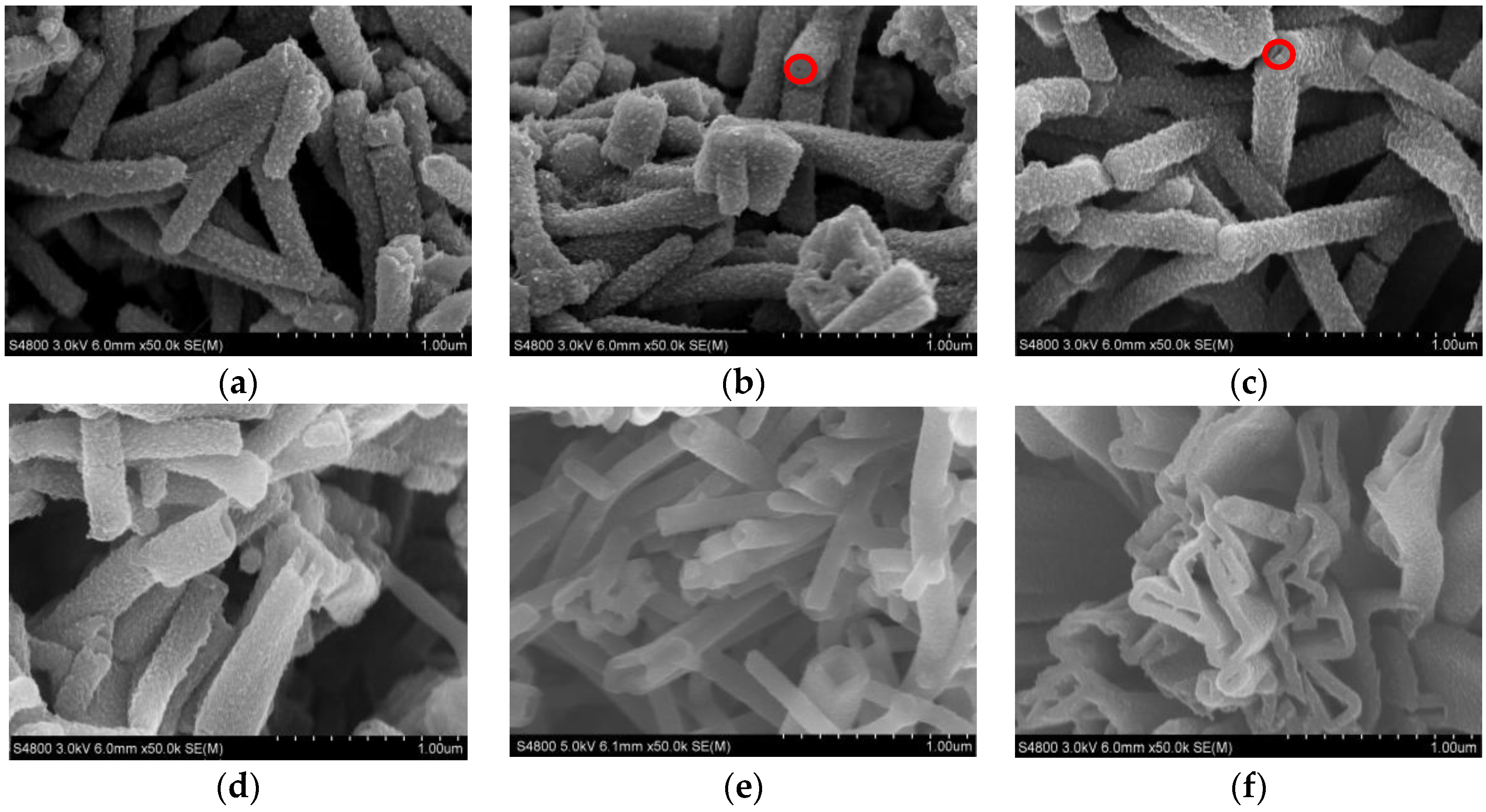 Polymers 09 00510 g002 Polymers 09 00510 g002