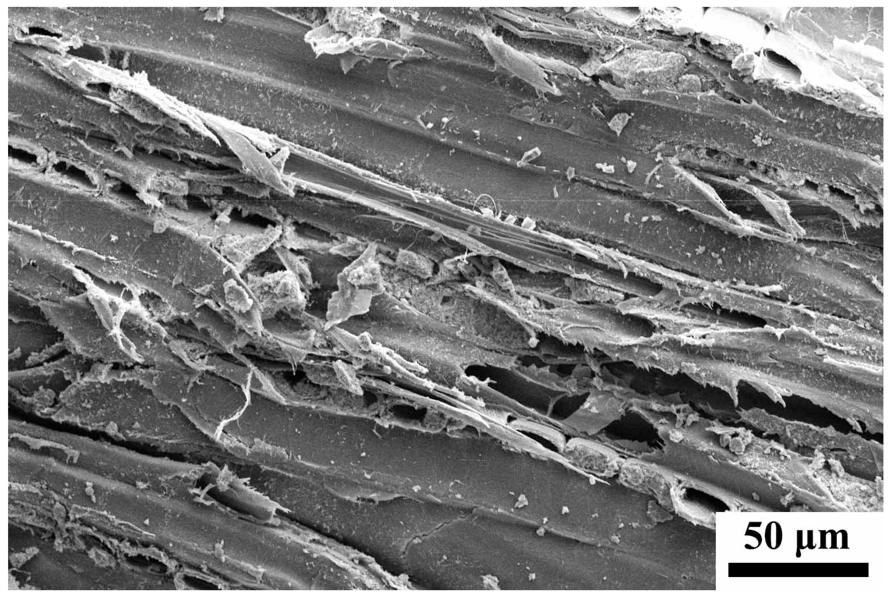 Polymers 09 00513 g004