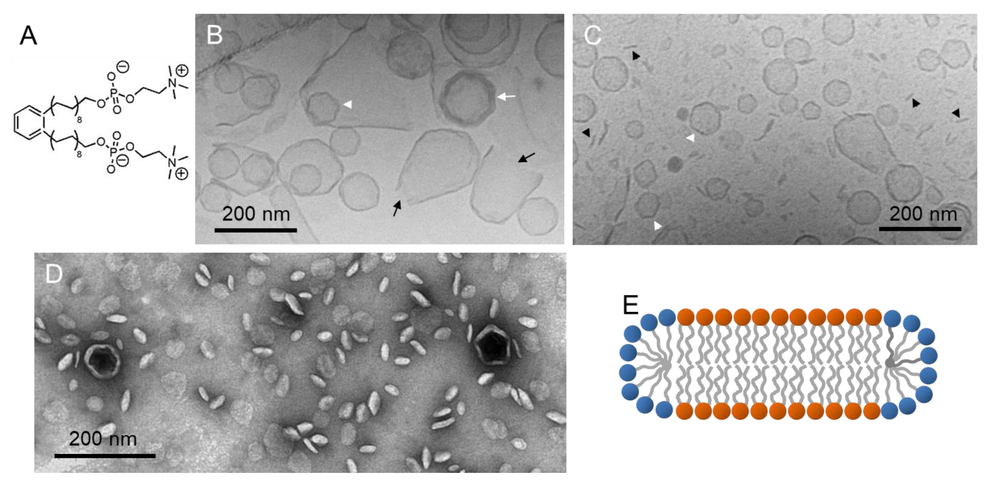 Polymers 09 00521 g006