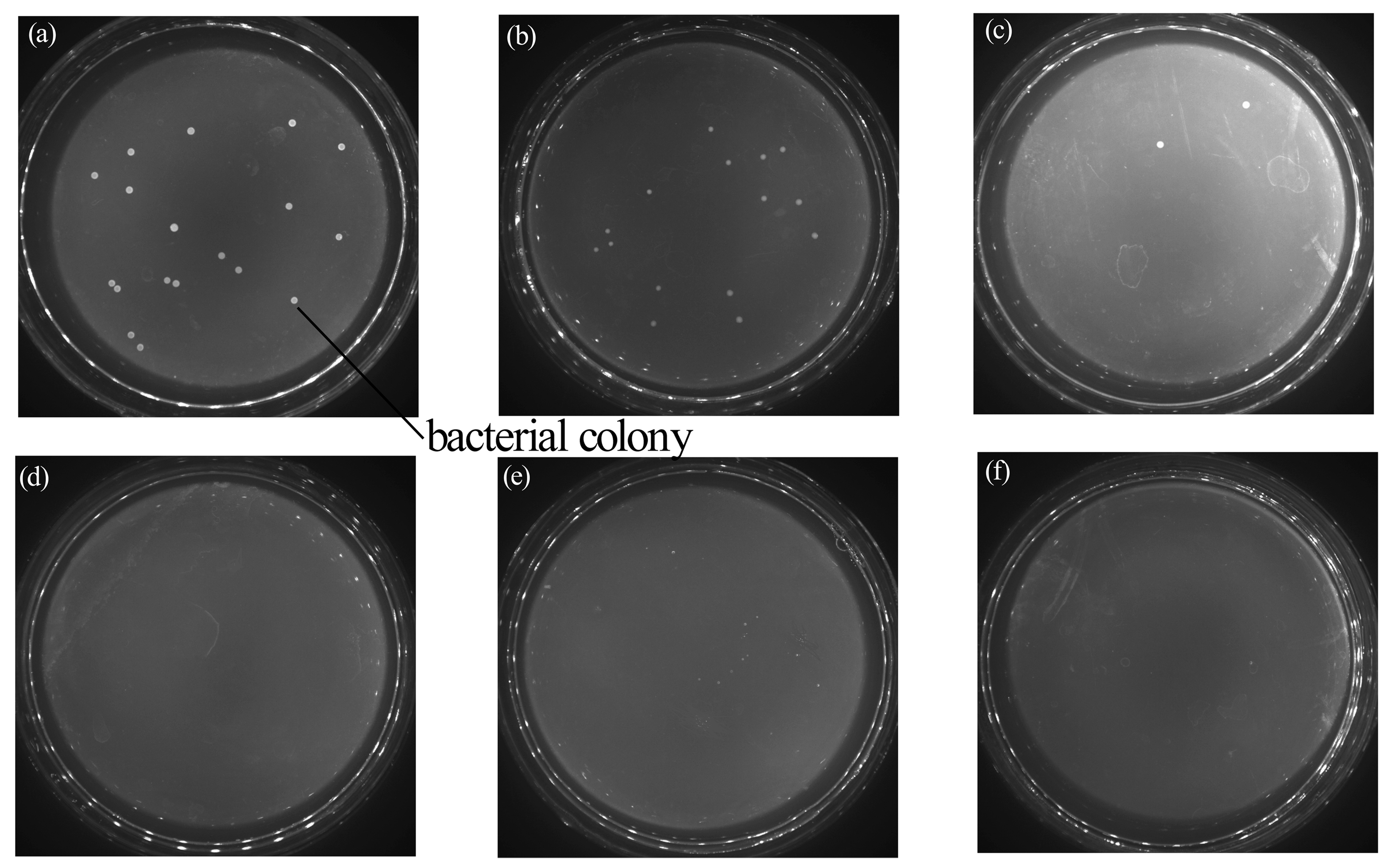 Polymers 09 00524 g006