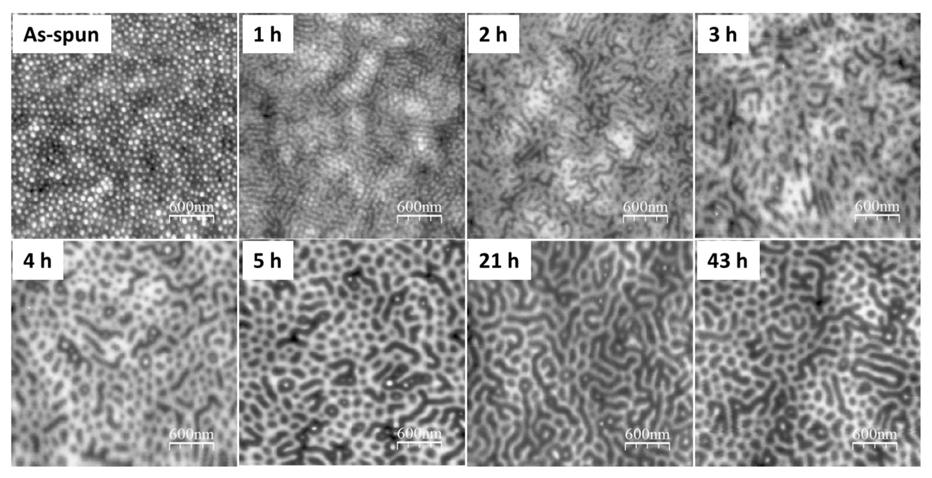 Polymers 09 00525 g002