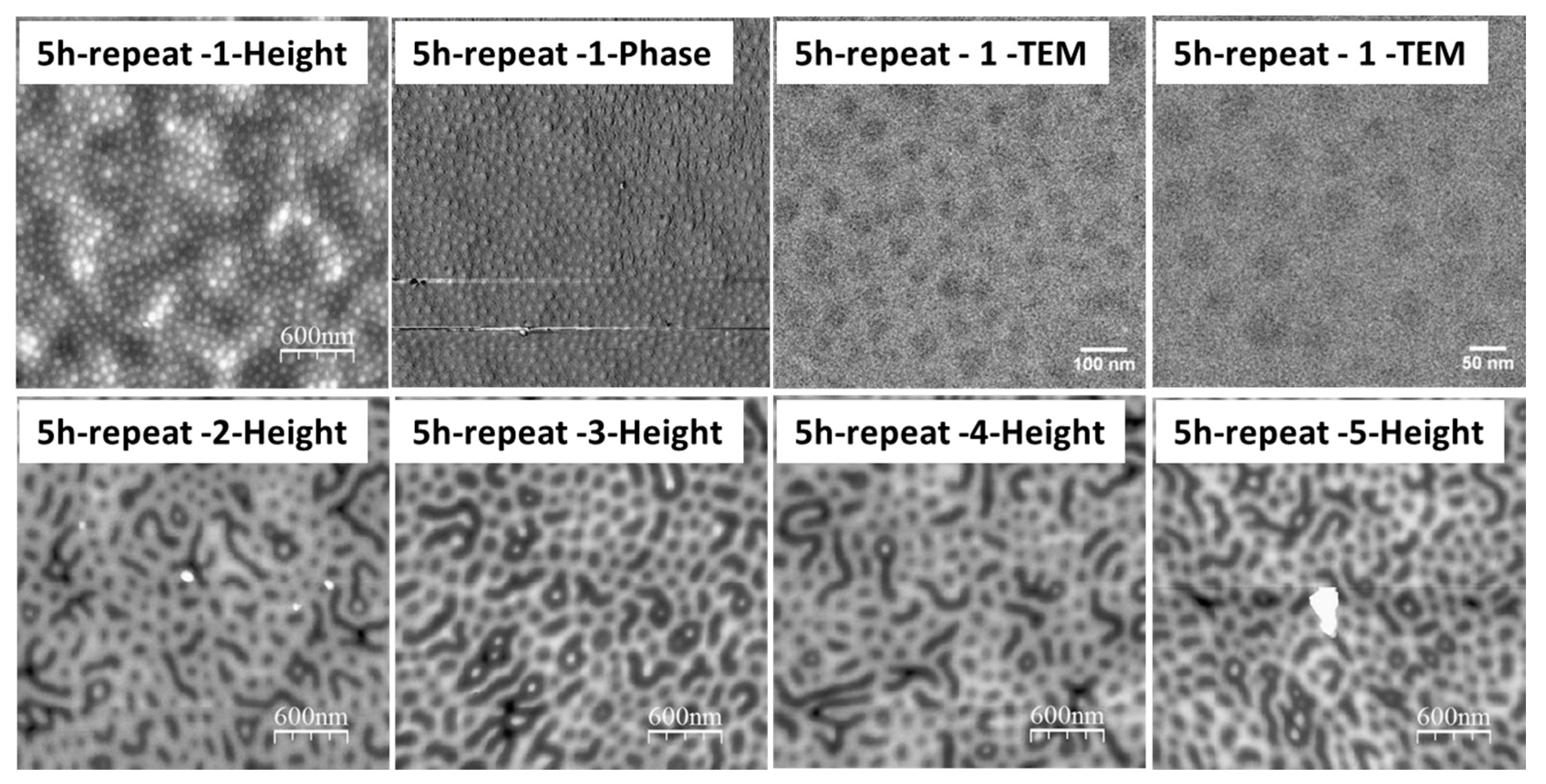 Polymers 09 00525 g003