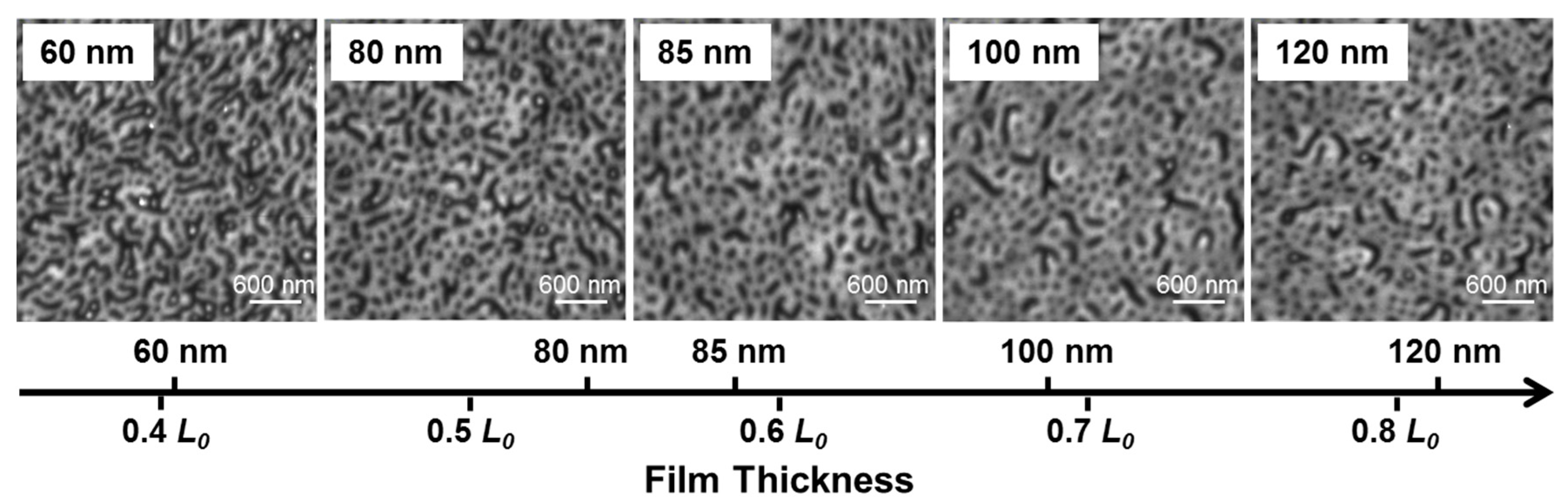 Polymers 09 00525 g004
