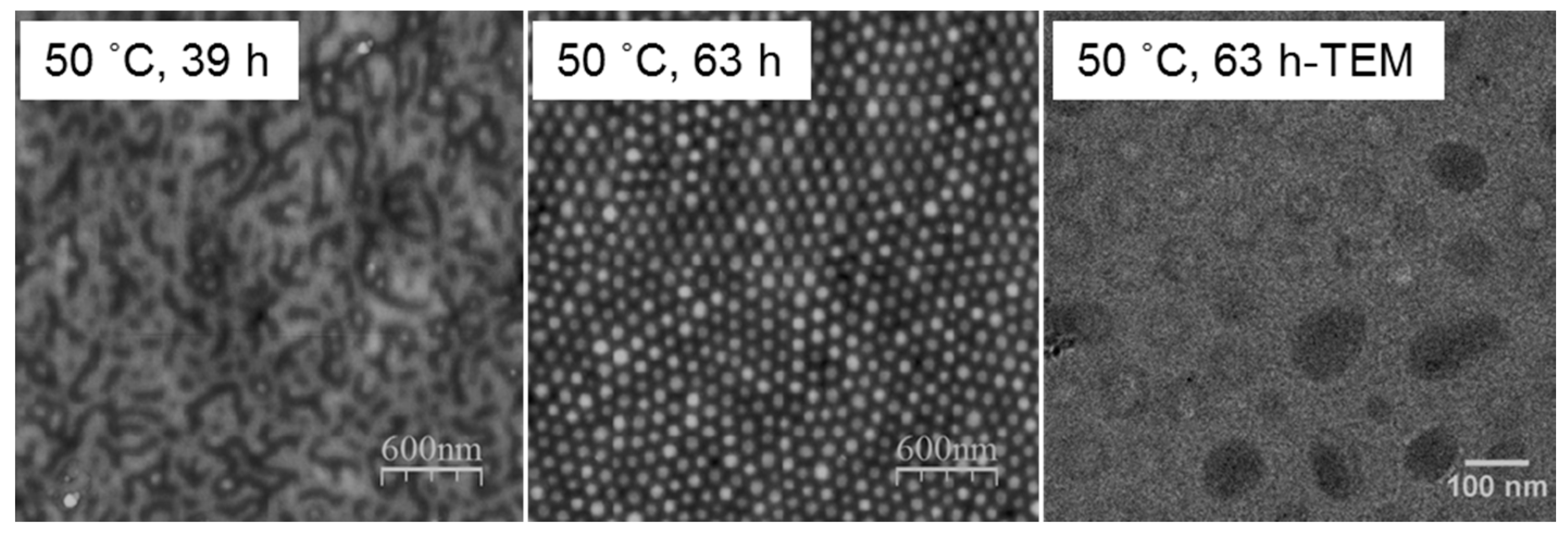Polymers 09 00525 g005