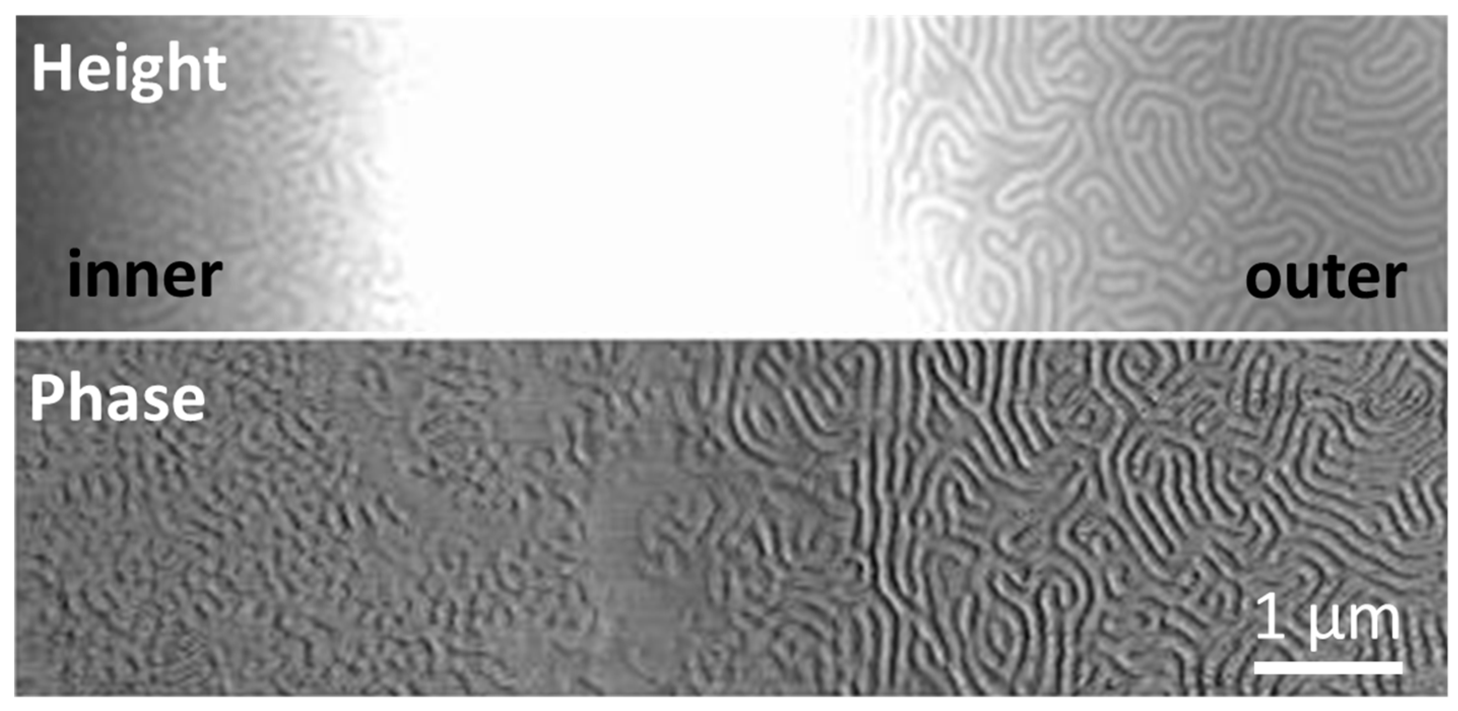 Polymers 09 00525 g009