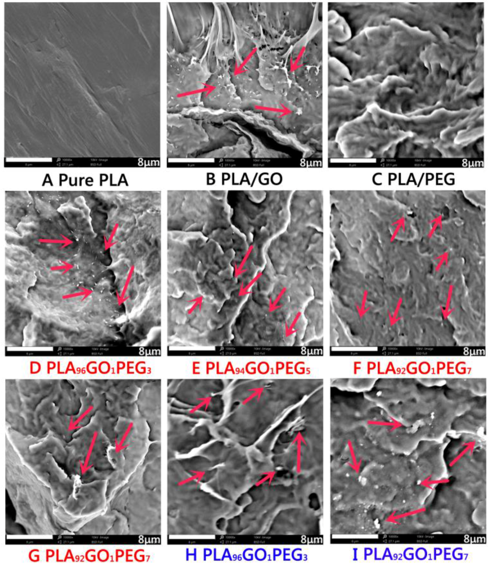 Polymers 09 00528 g005