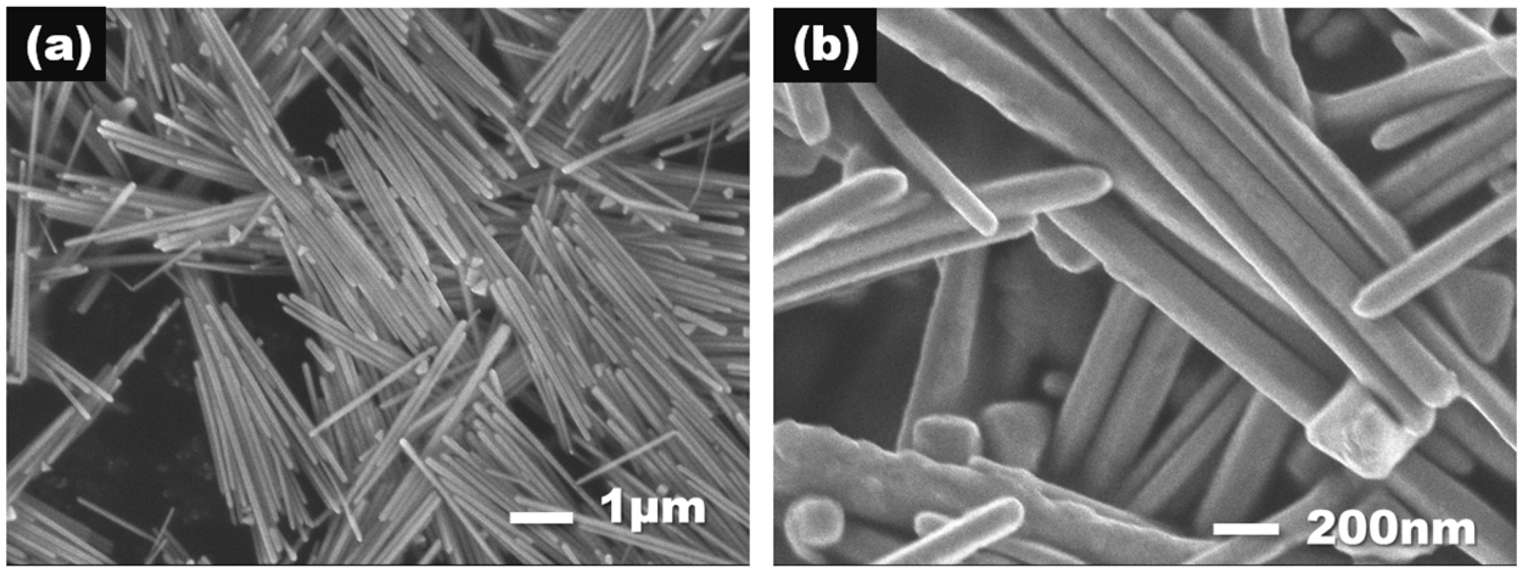 Polymers 09 00530 g001