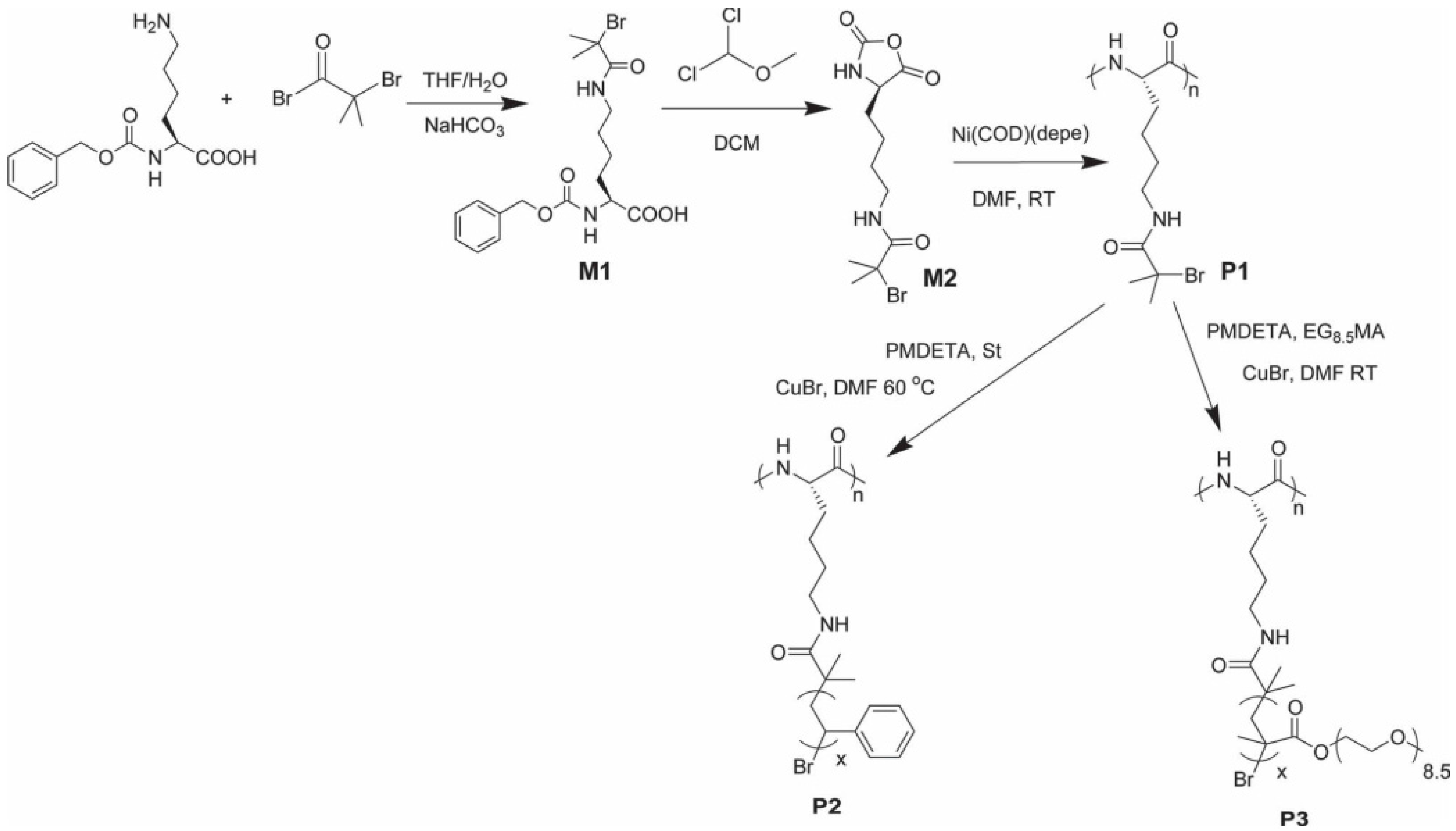 Polymers 09 00551 g049