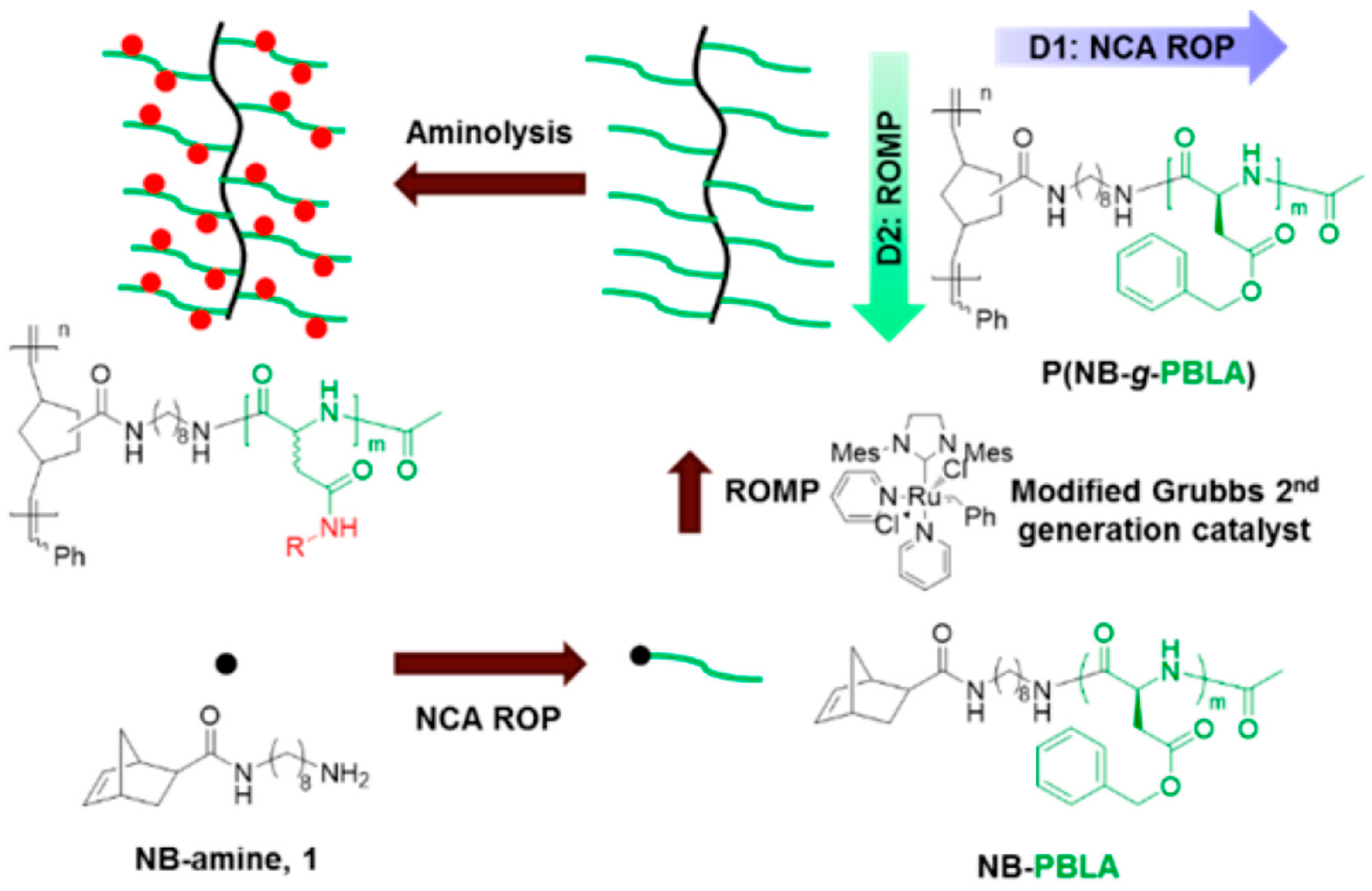 Polymers 09 00551 g050