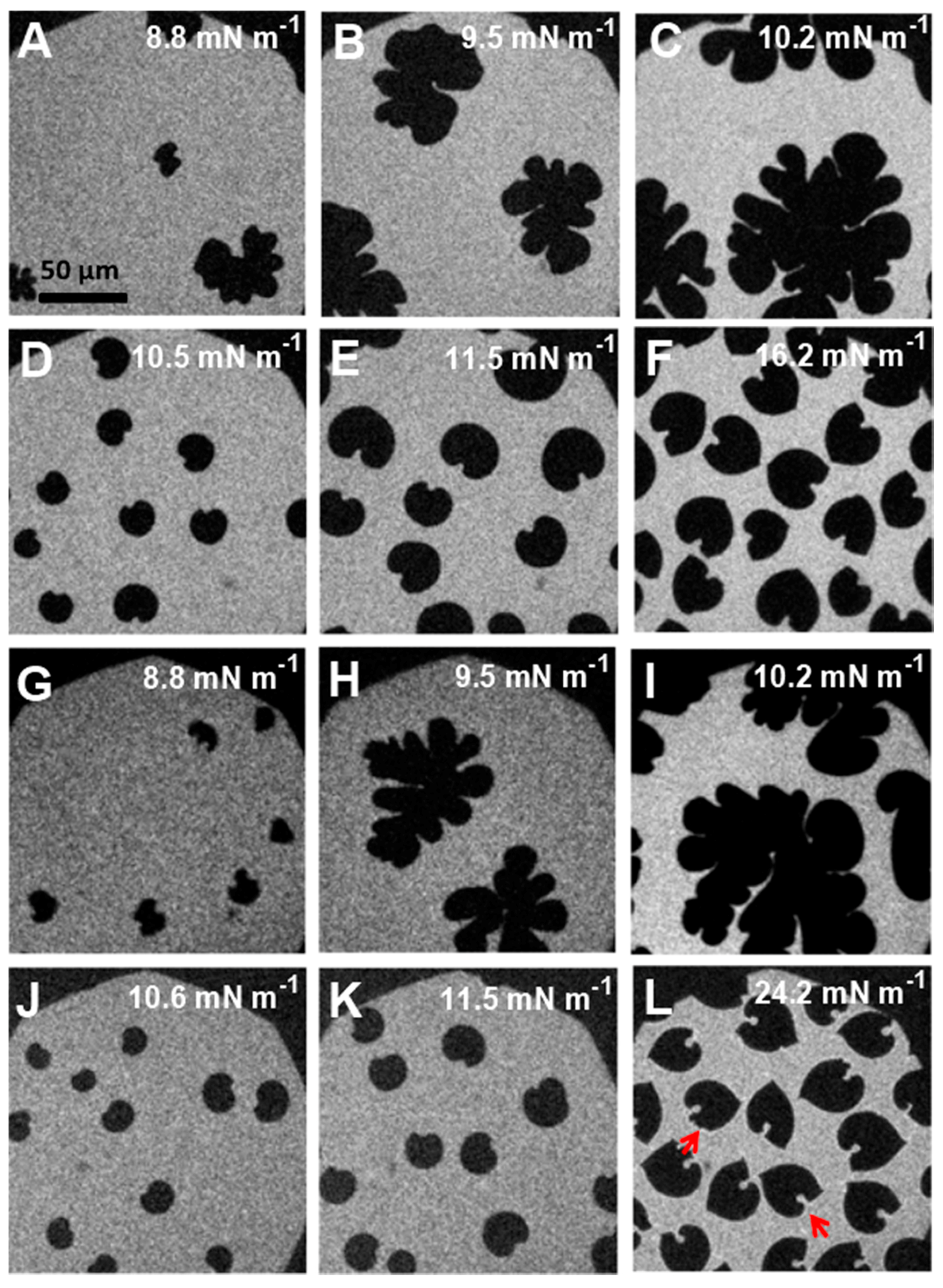 Polymers 09 00555 g008