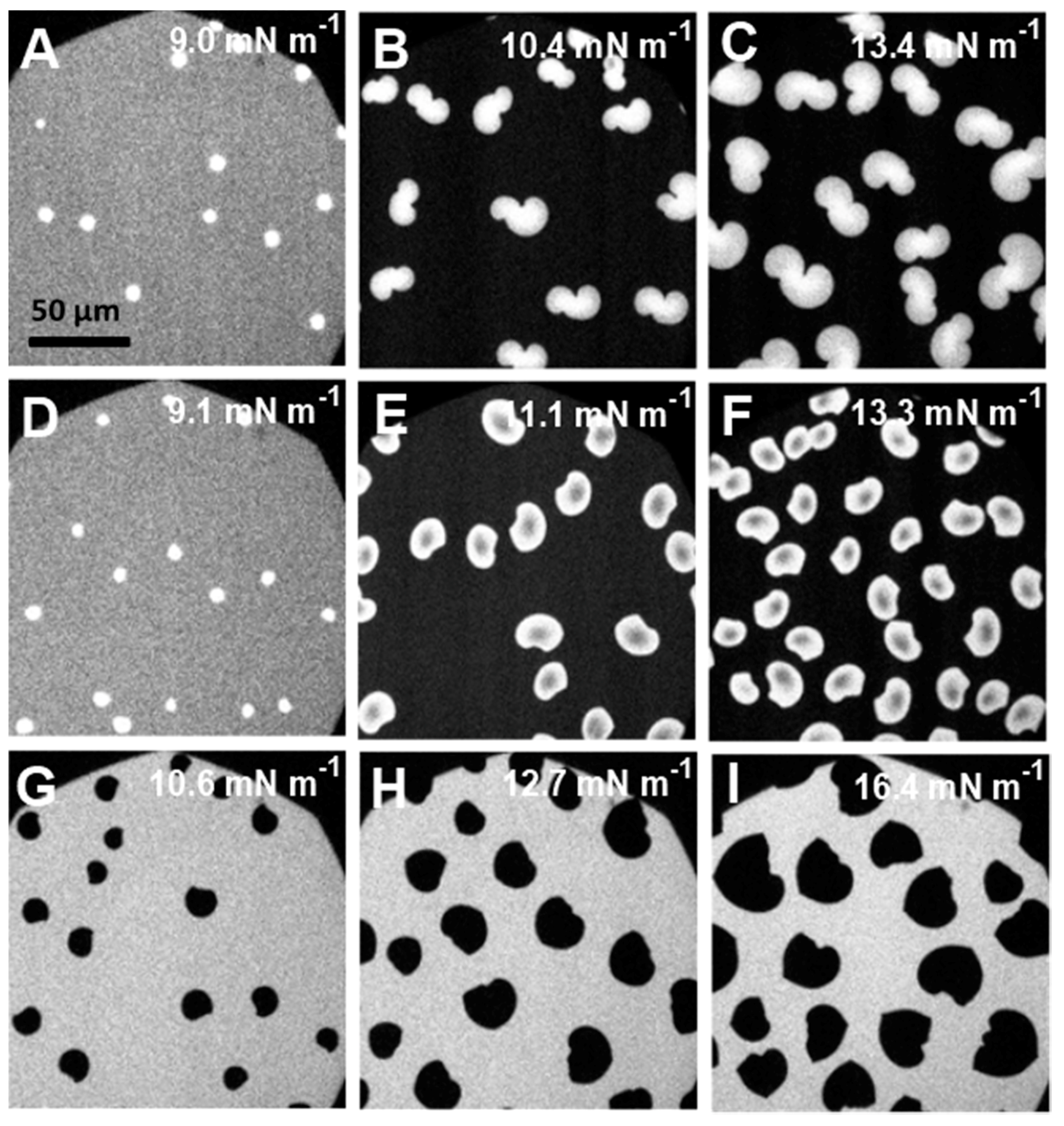 Polymers 09 00555 g010