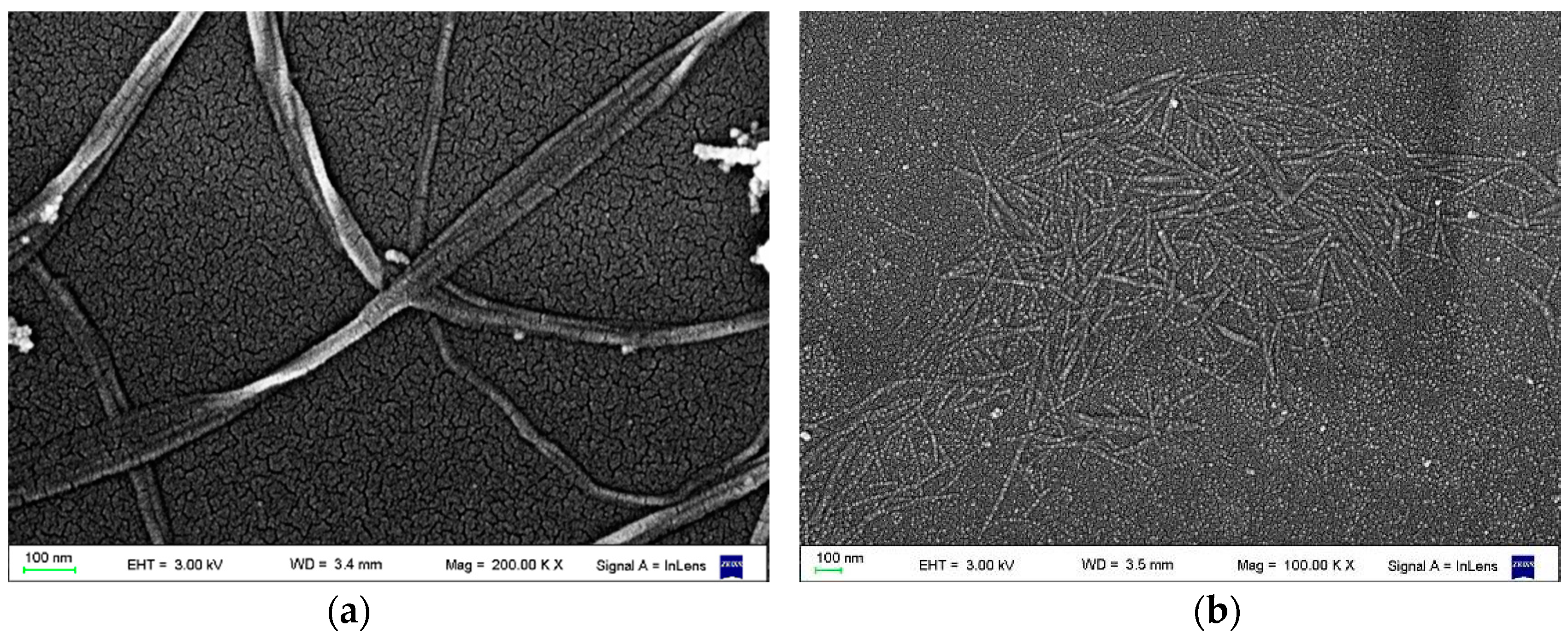 Polymers 09 00561 g001