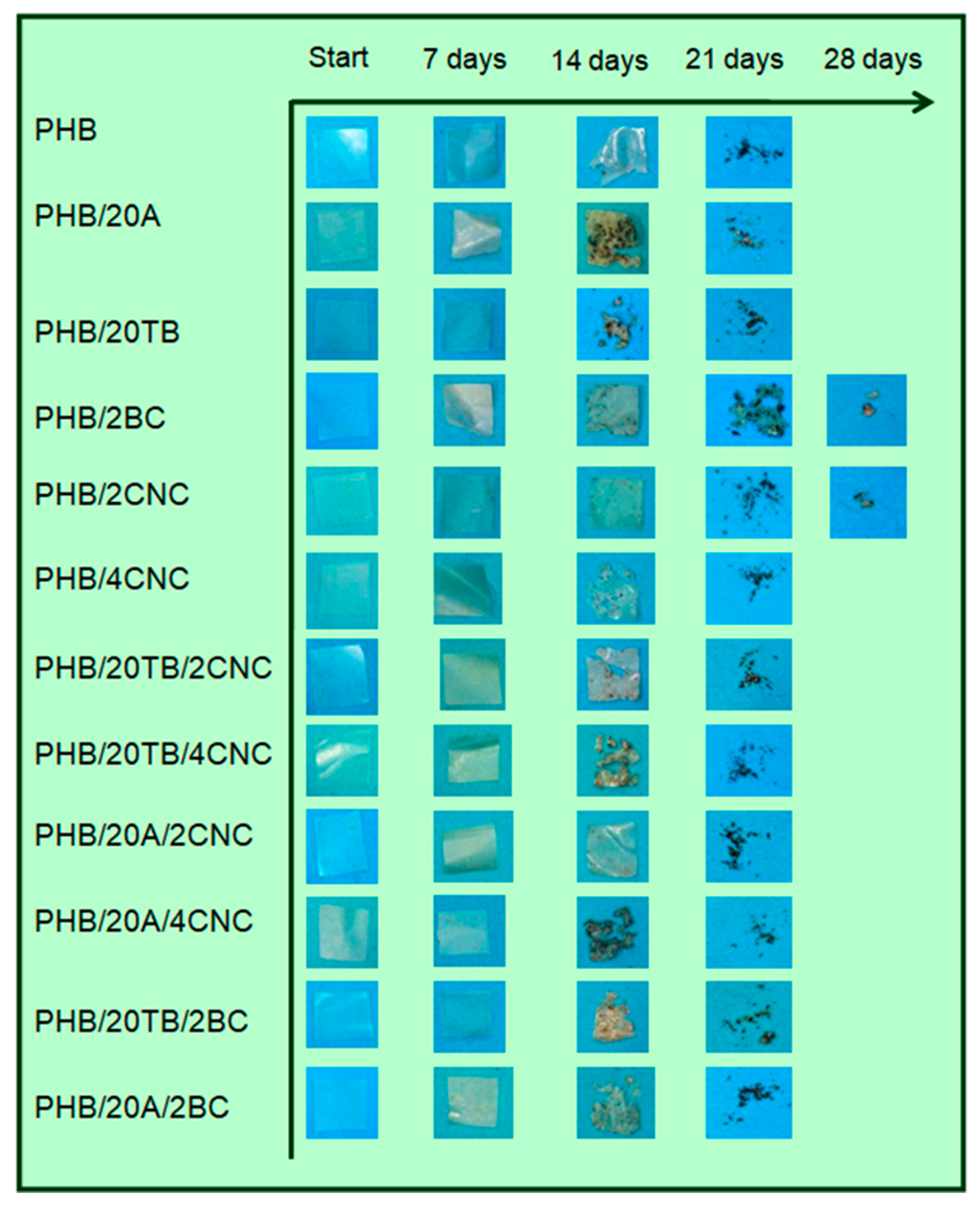 Polymers 09 00561 g008